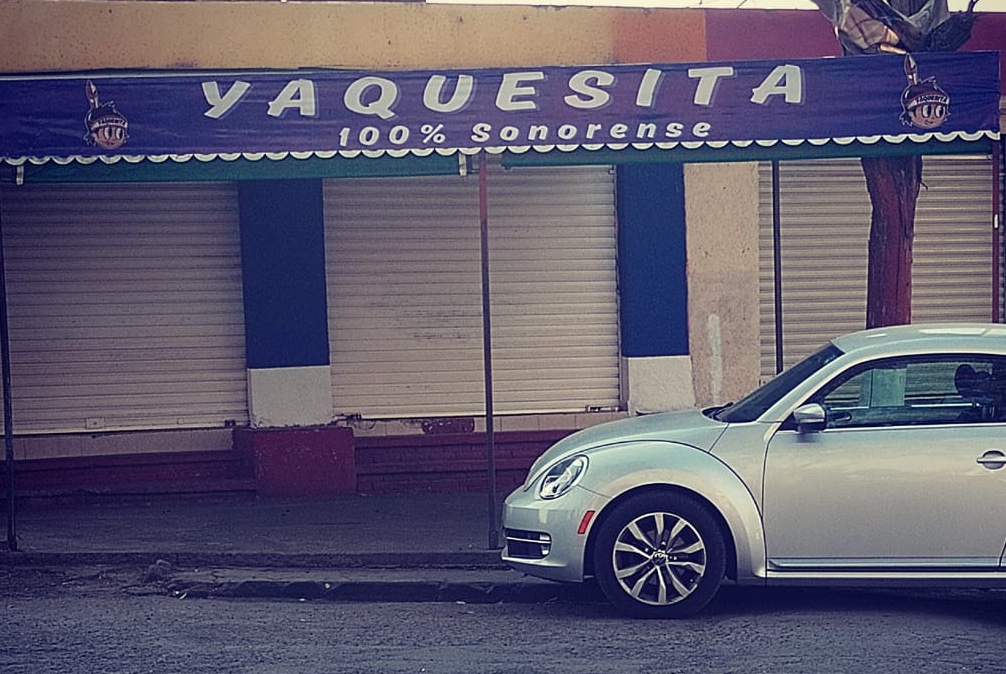 Yaquesita 100% Sonorense image 8