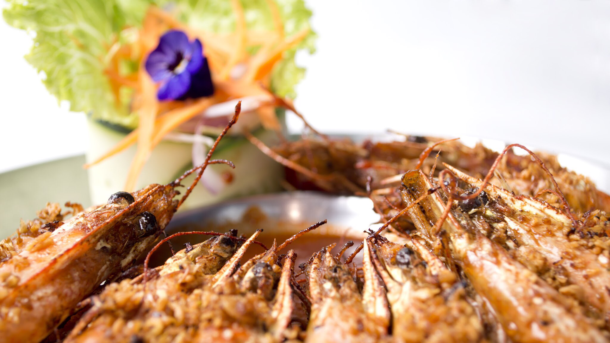 El Barco De Alvarado image 2