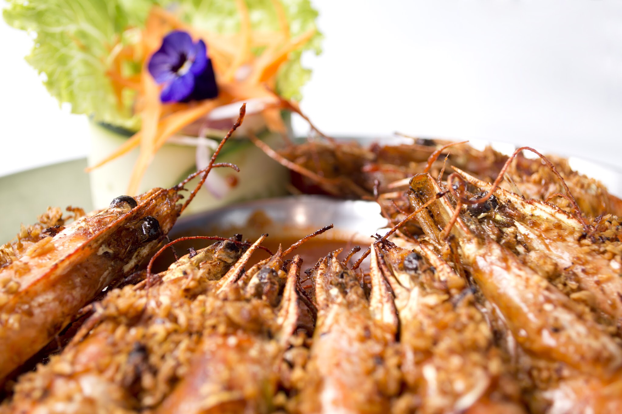 El Barco De Alvarado image 4