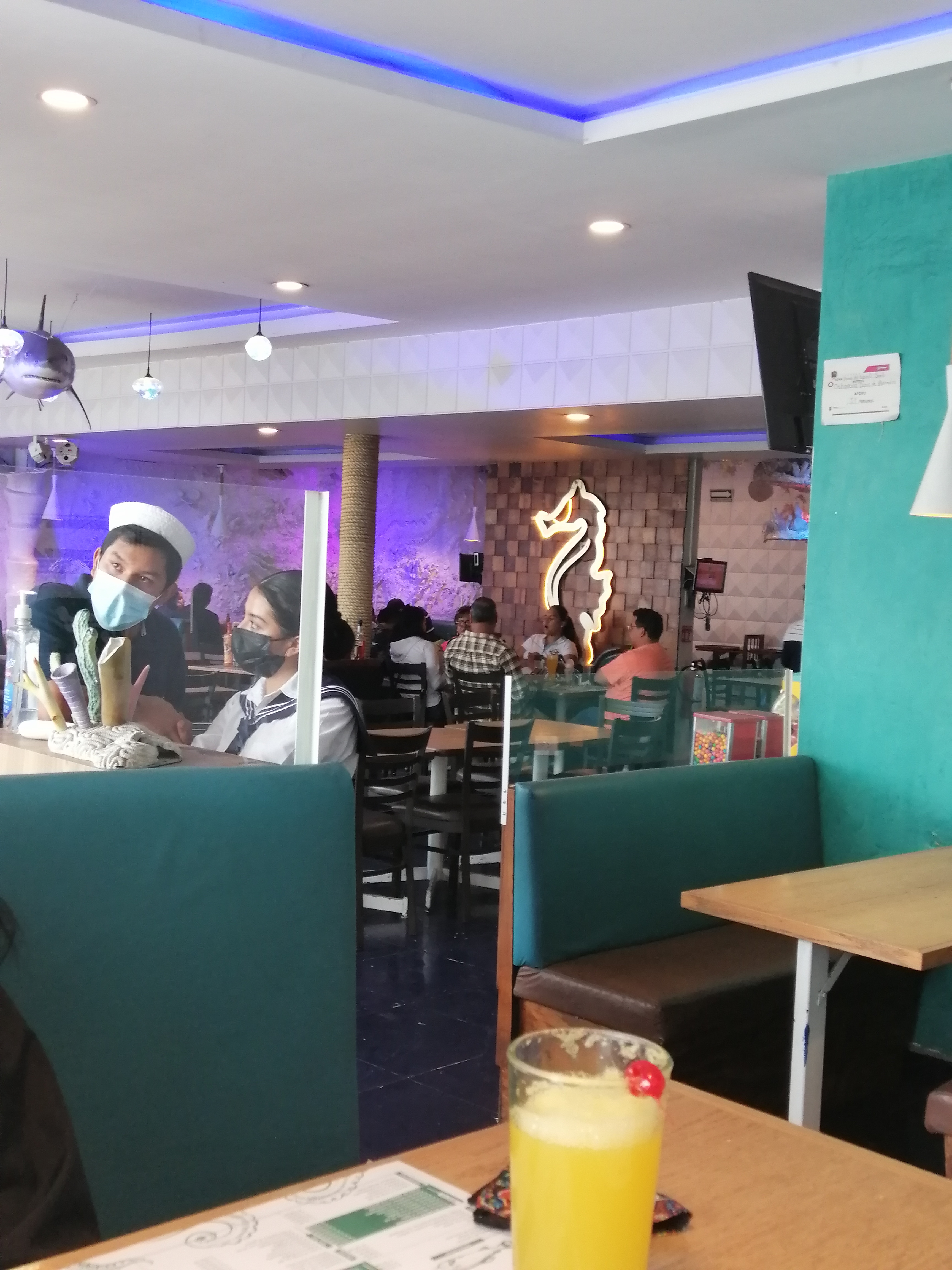 El Barco De Alvarado image 10