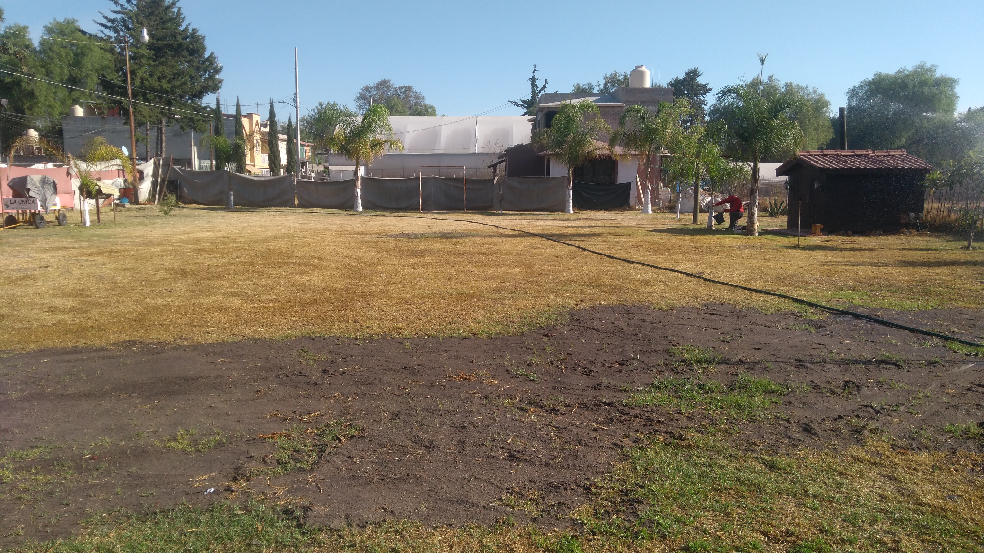 Jardin "Las Palmas" image 2