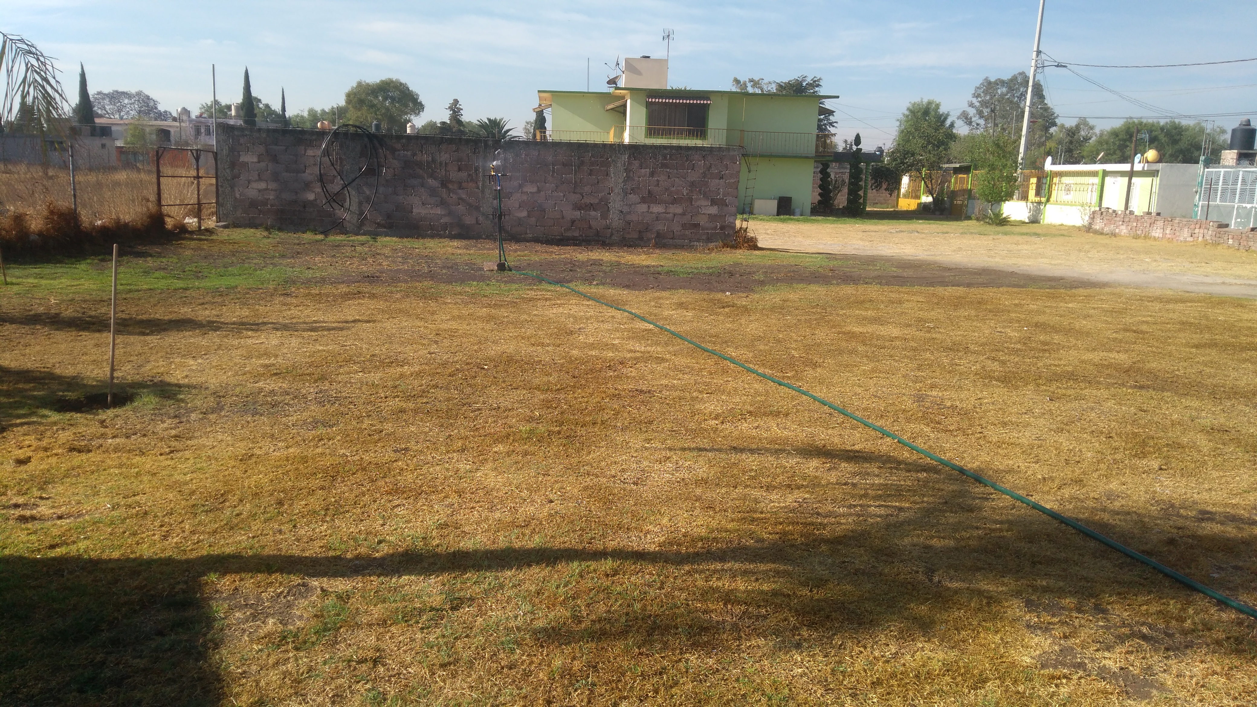 Jardin "Las Palmas" image 3