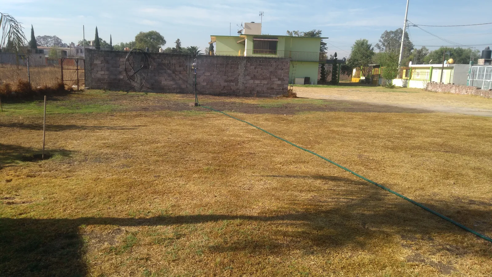 Jardin "Las Palmas" image 3