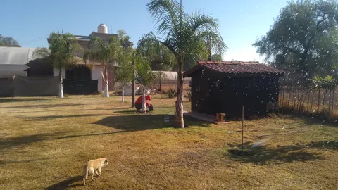 Jardin "Las Palmas" image 4