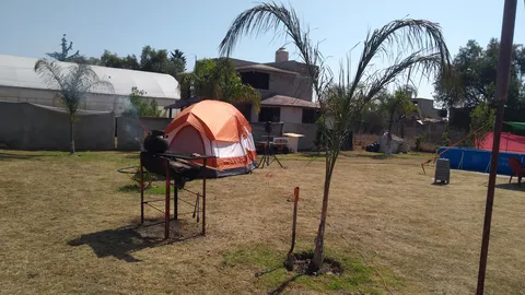 Jardin "Las Palmas" image 5