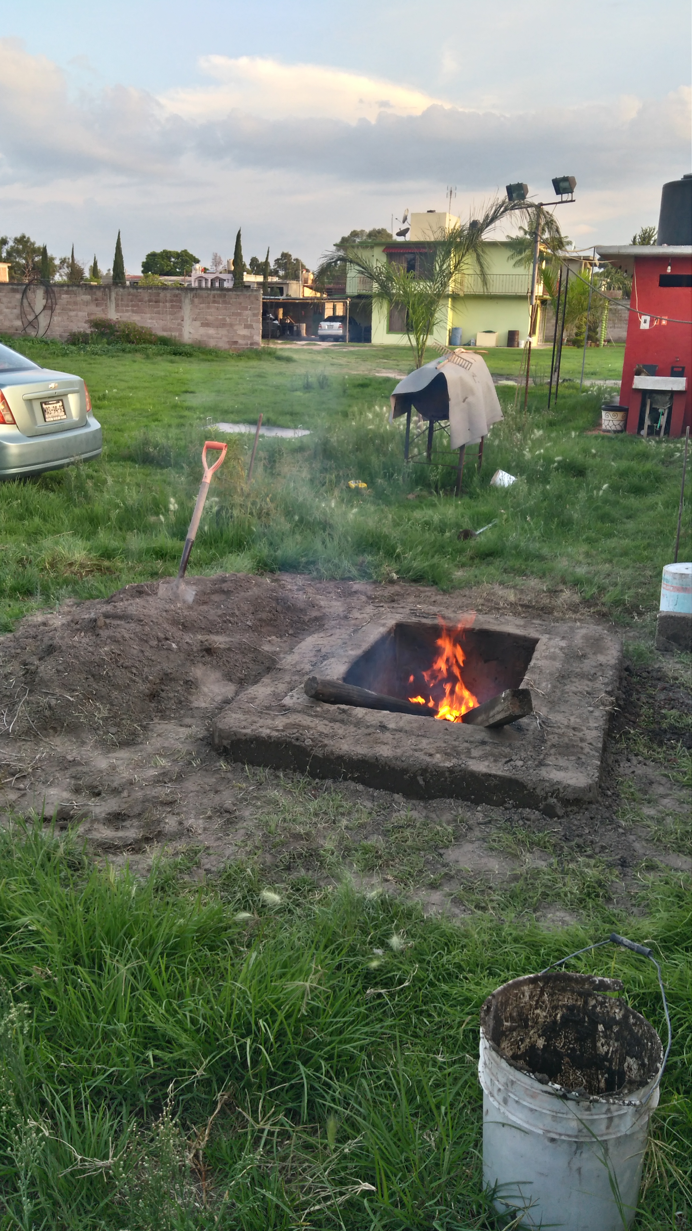 Jardin "Las Palmas" image 6