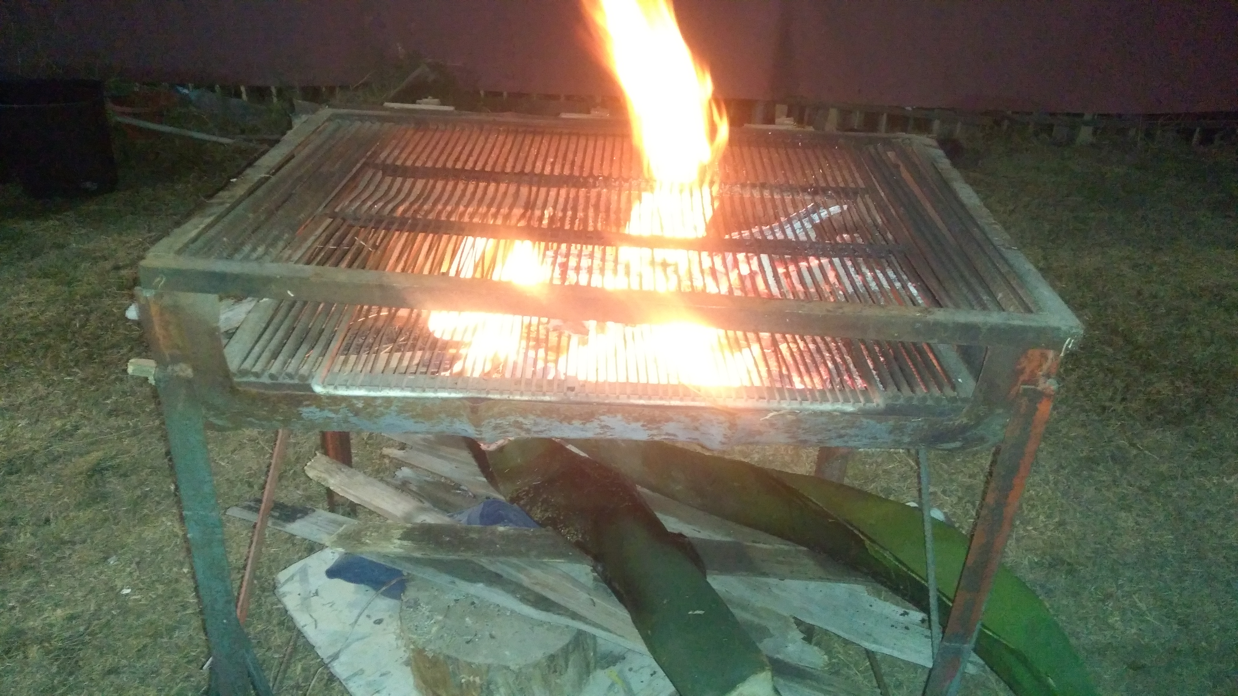 Jardin "Las Palmas" image 7