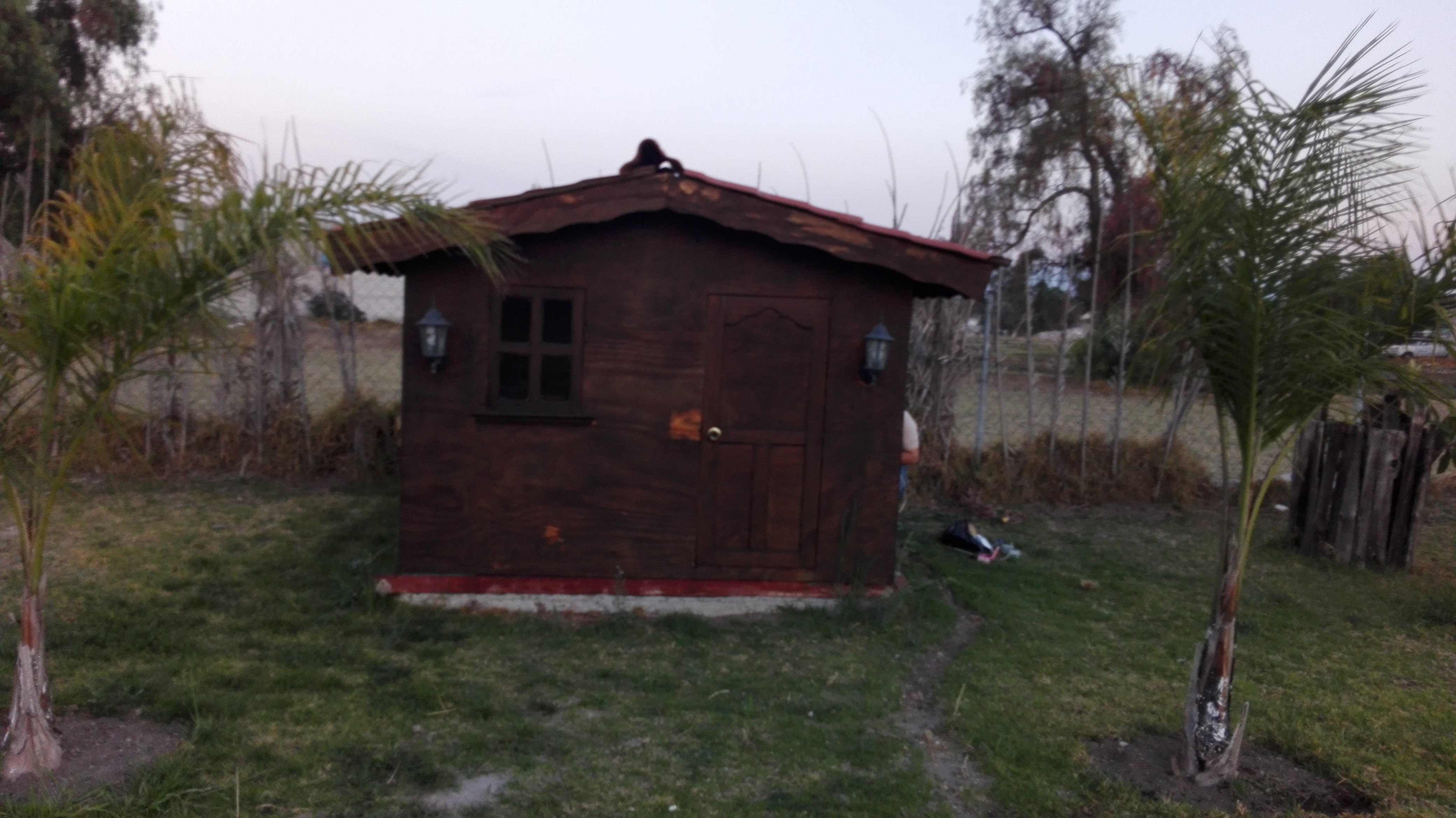 Jardin "Las Palmas" image 8