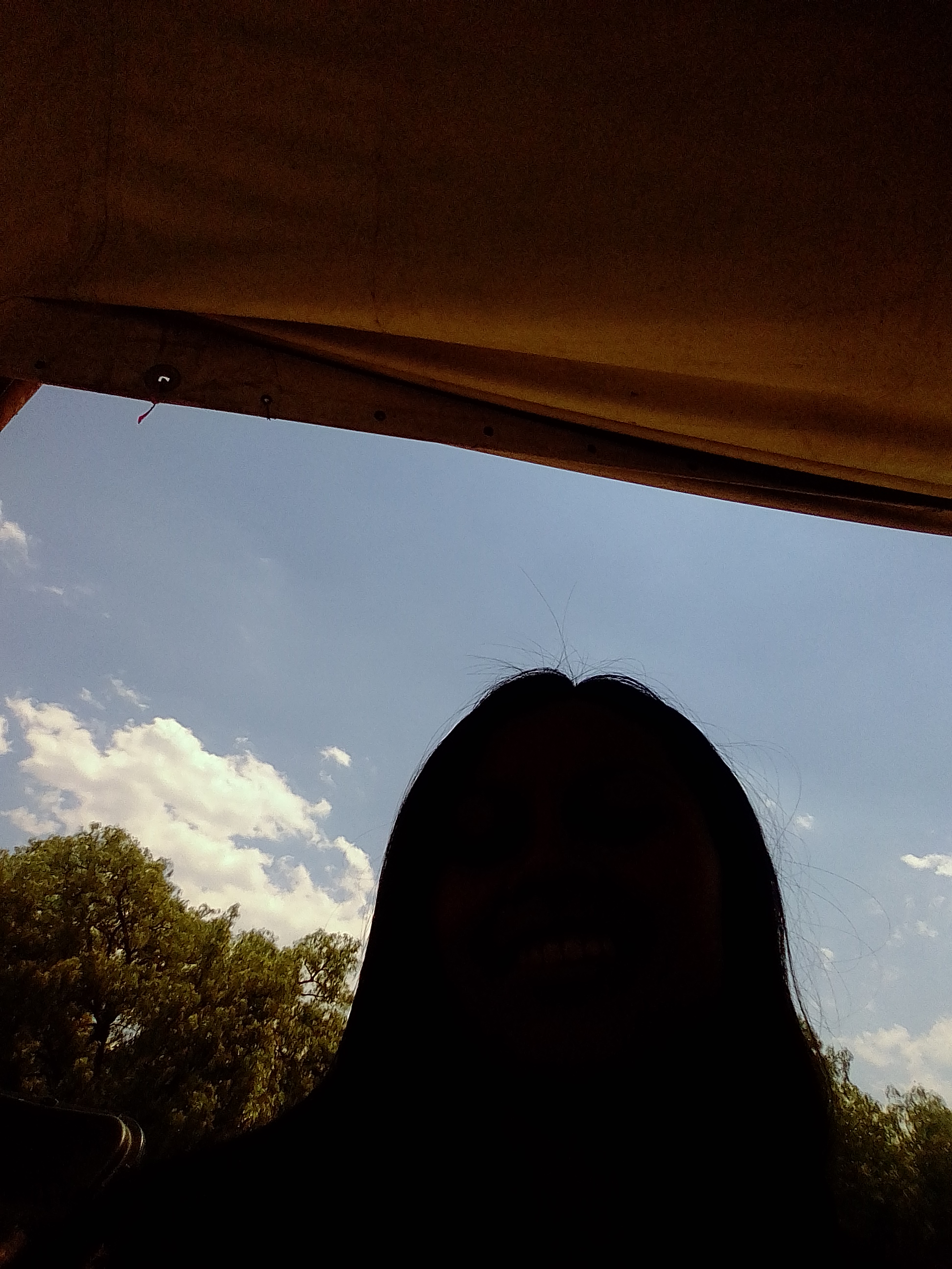 Jardin "Las Palmas" image 9