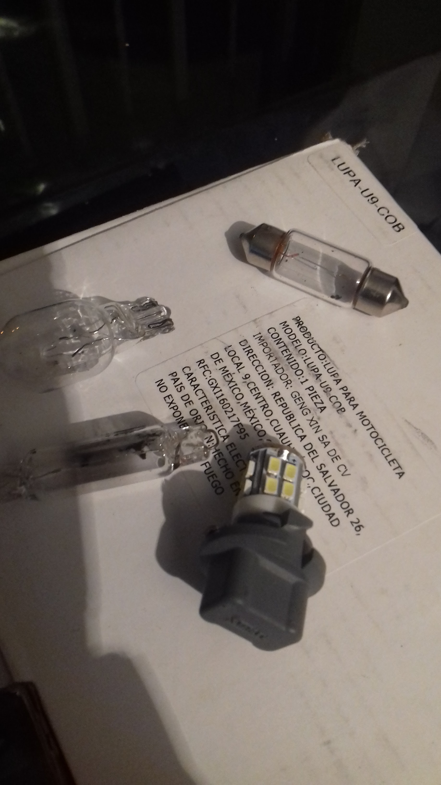 Jardin "Las Palmas" image 10