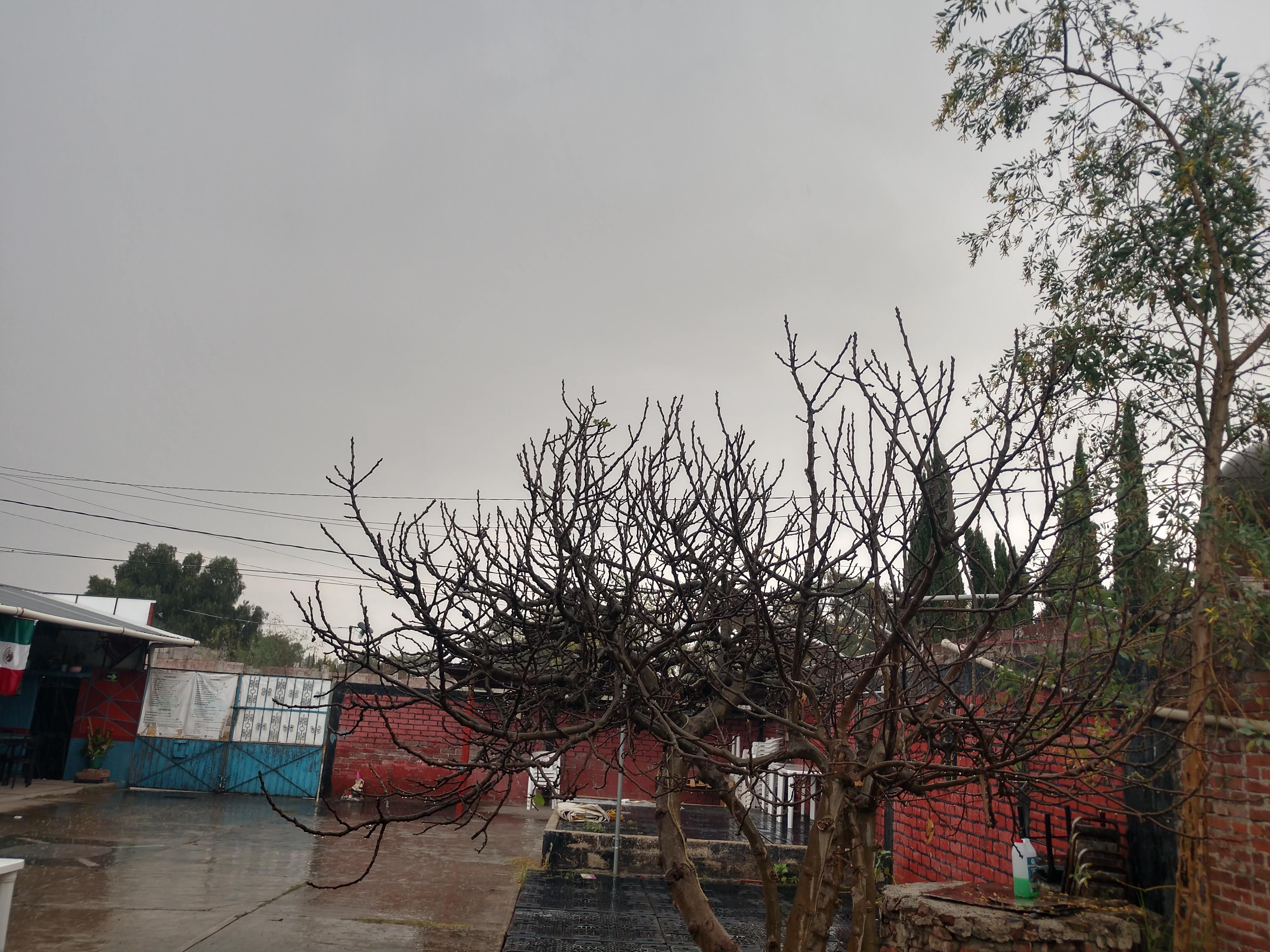 El Higo Bar&grill image 7