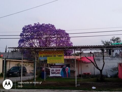 Barbacoa Del Buen Pastor image 1
