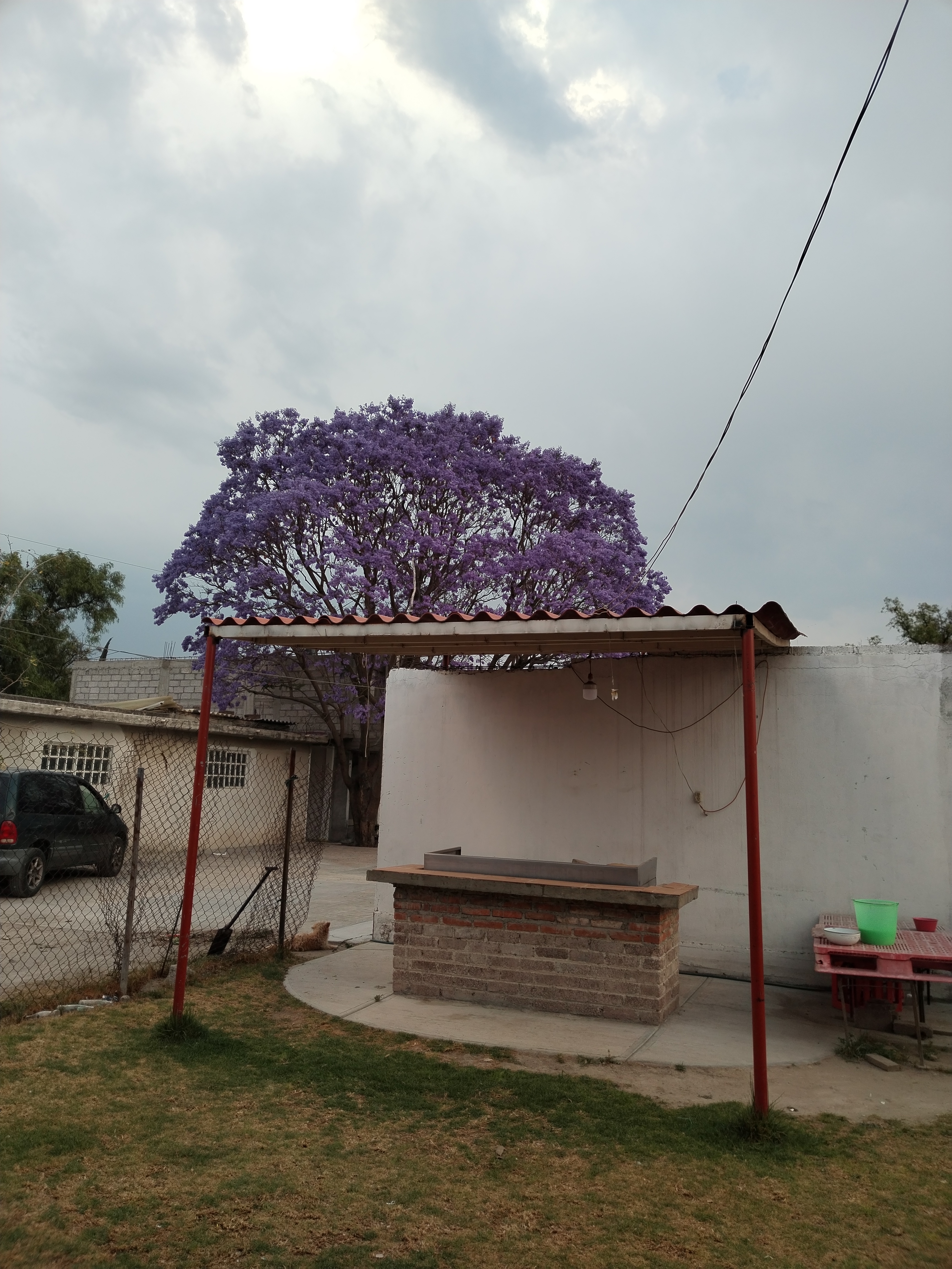 Barbacoa Del Buen Pastor image 7