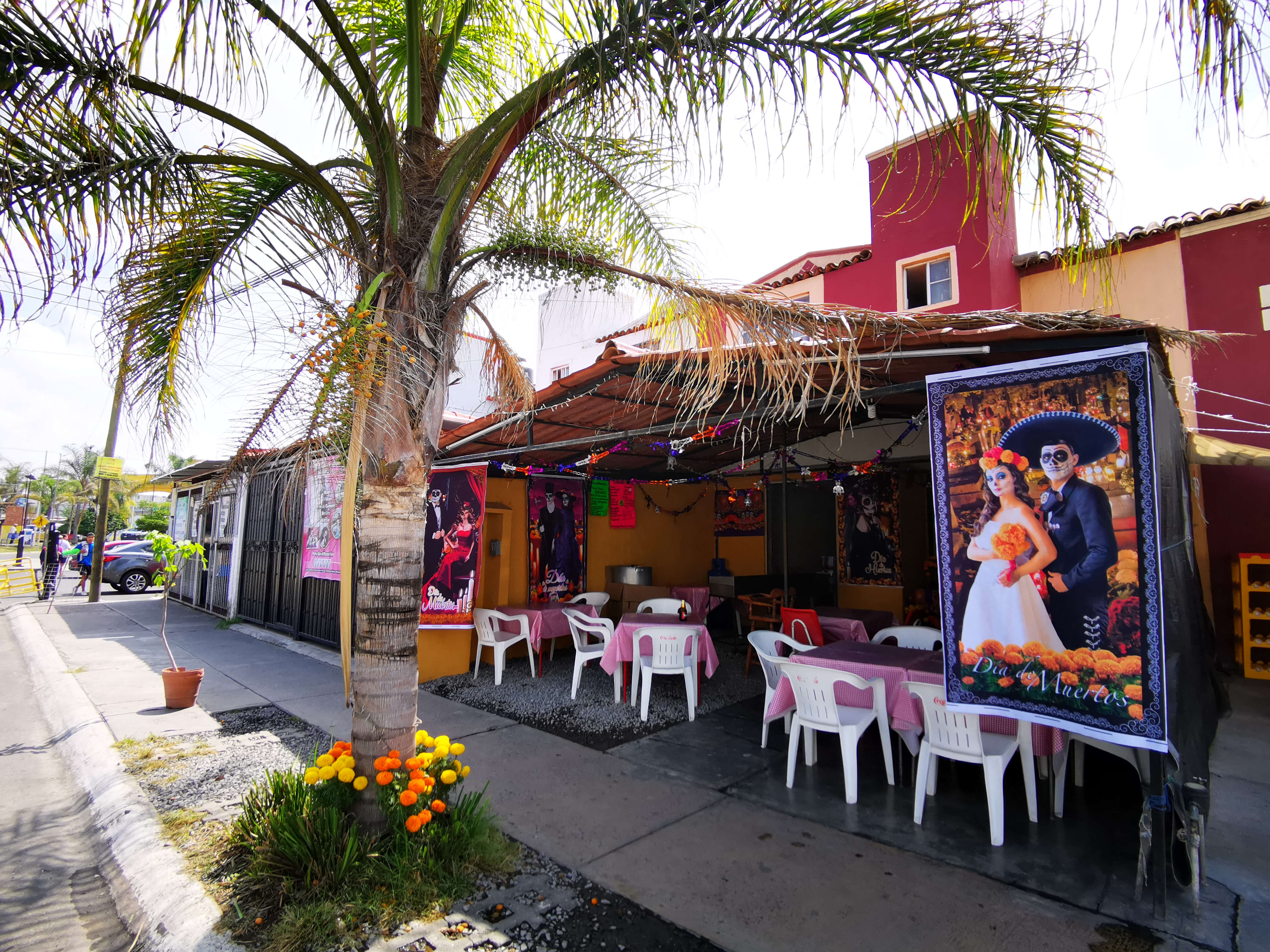 Mio Restaurancito image 1