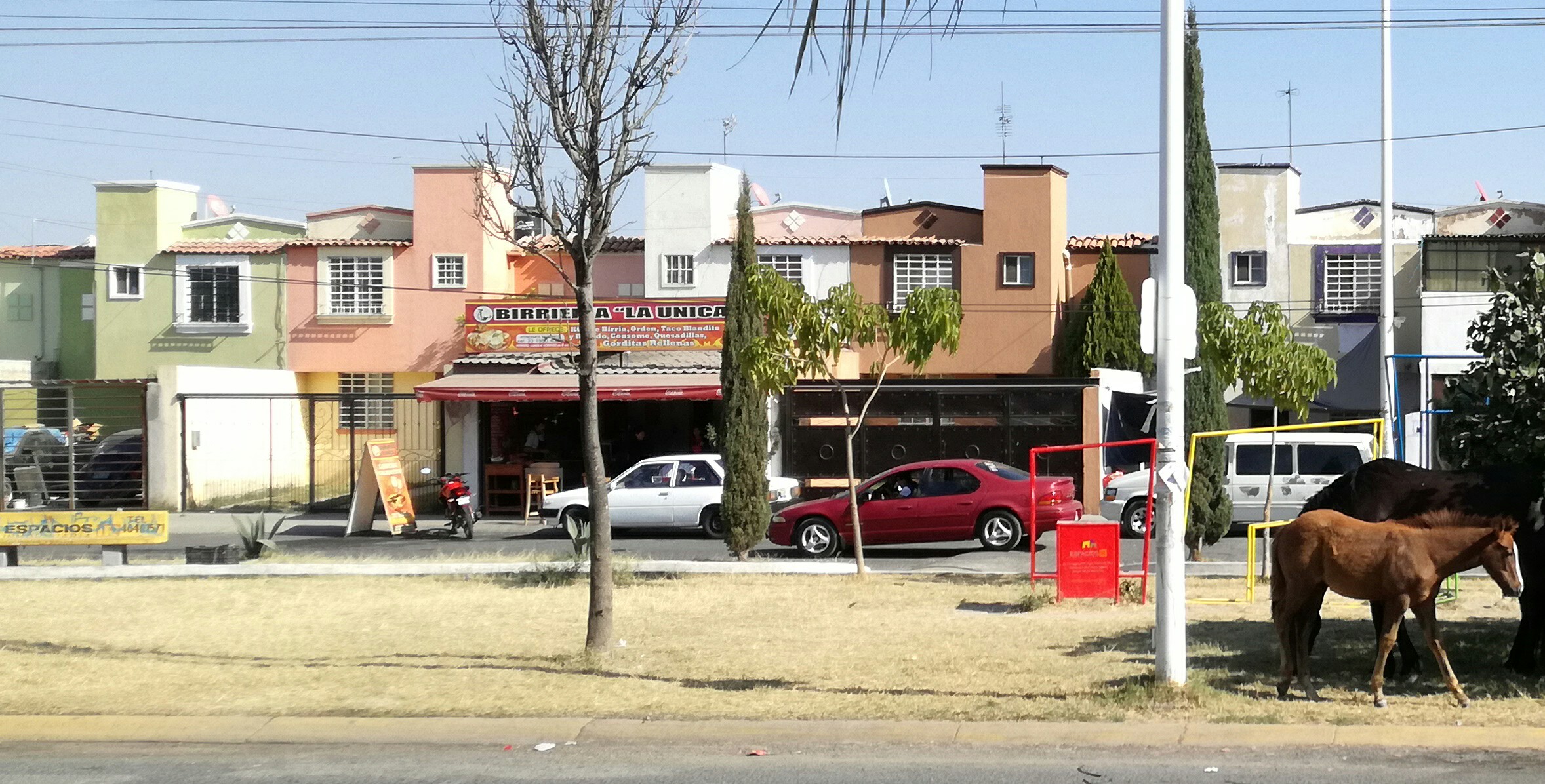 Birreria La Unica image 3