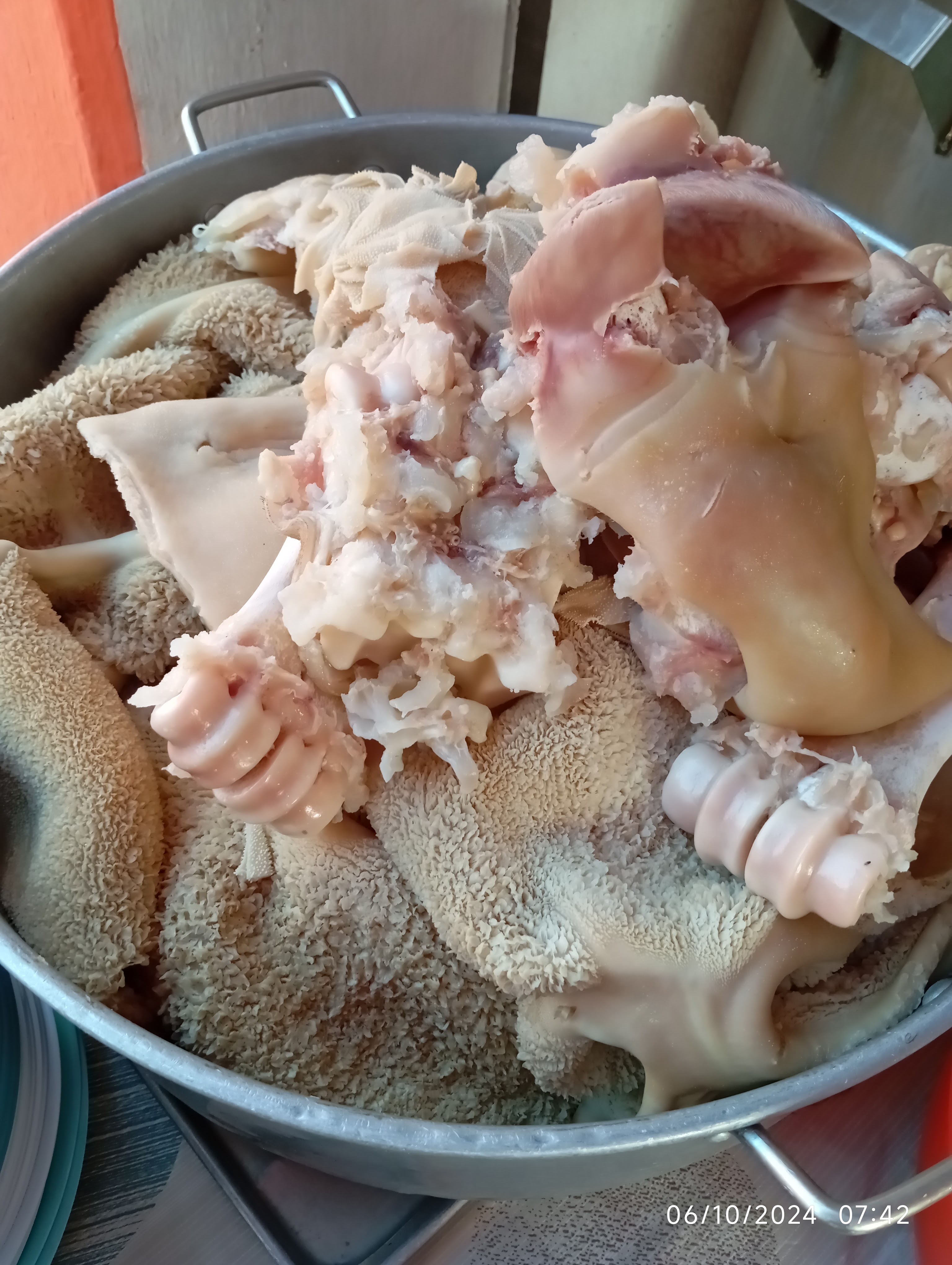 Menuderia Cony image 5