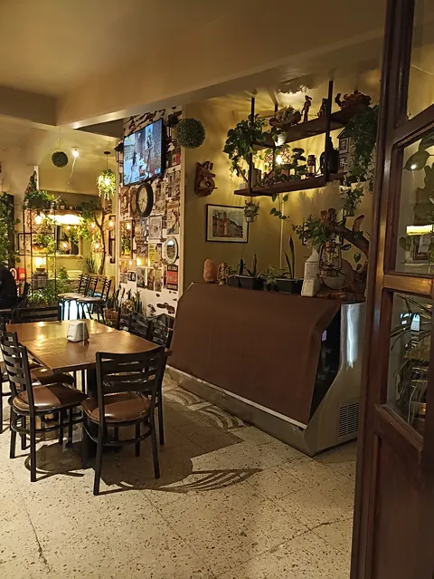 CASA BOLIO image 6