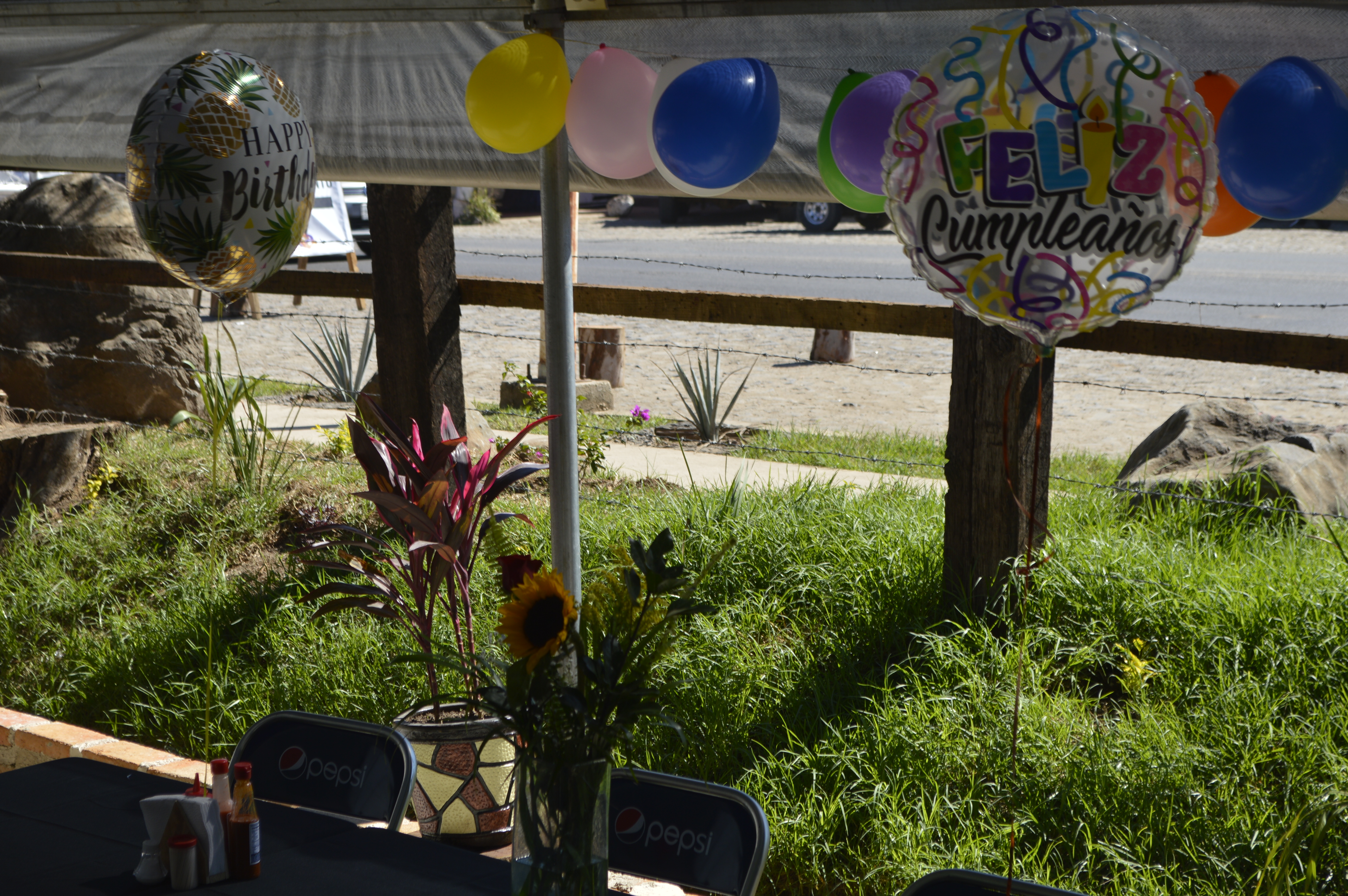 MARISCOS CARNAVAL AMATITAN image 3