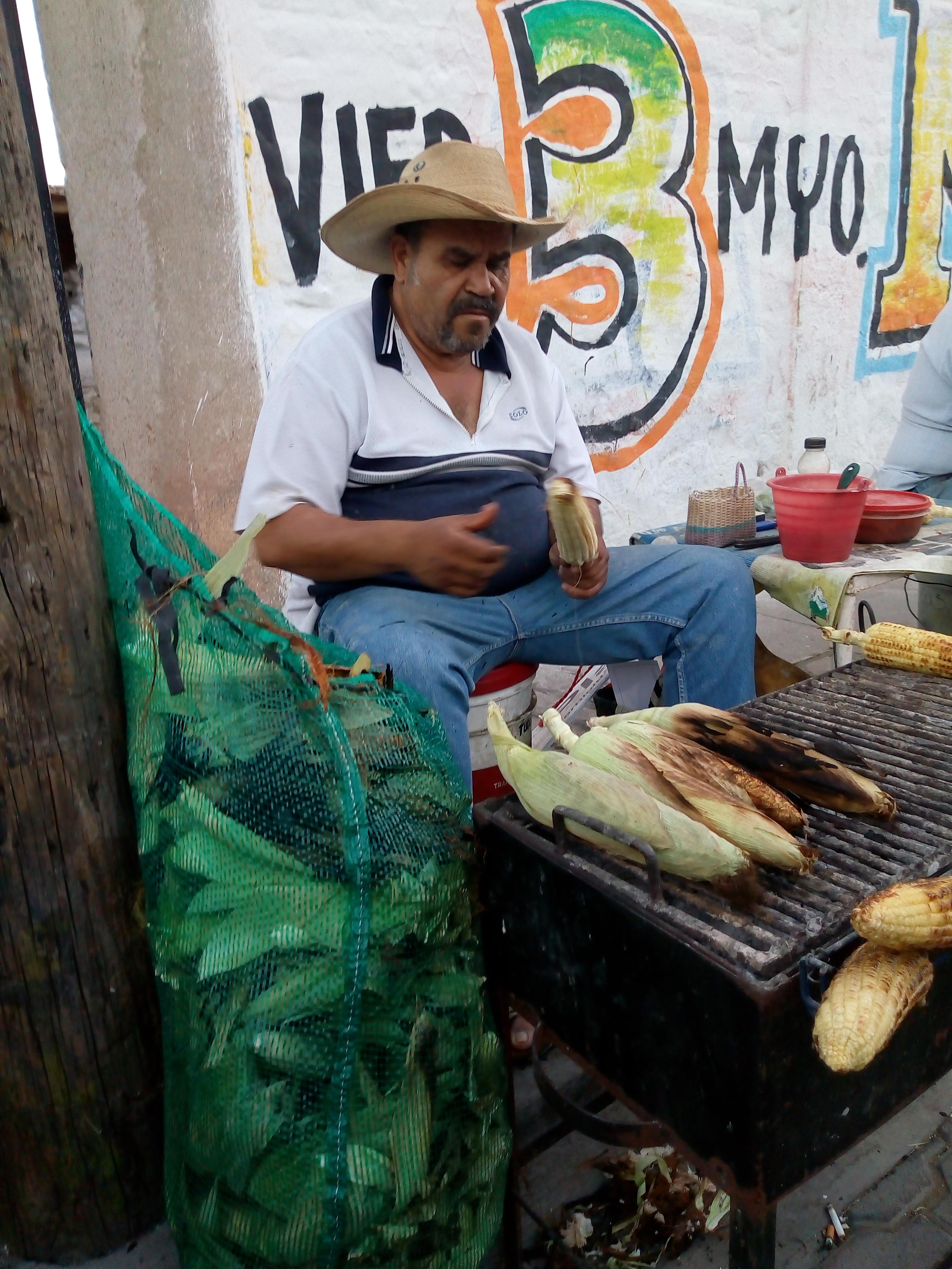 Elotes el vicu image 1