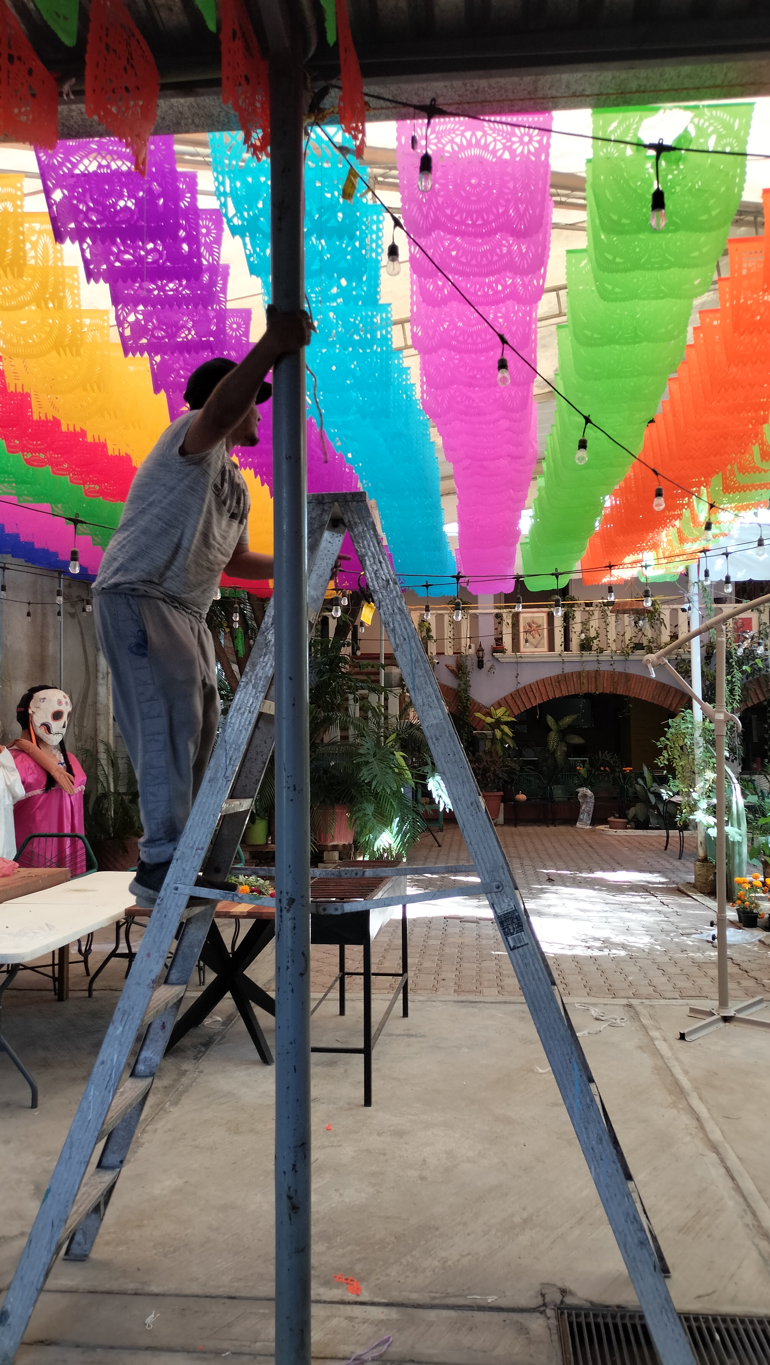 Mi Tierra Linda image 10