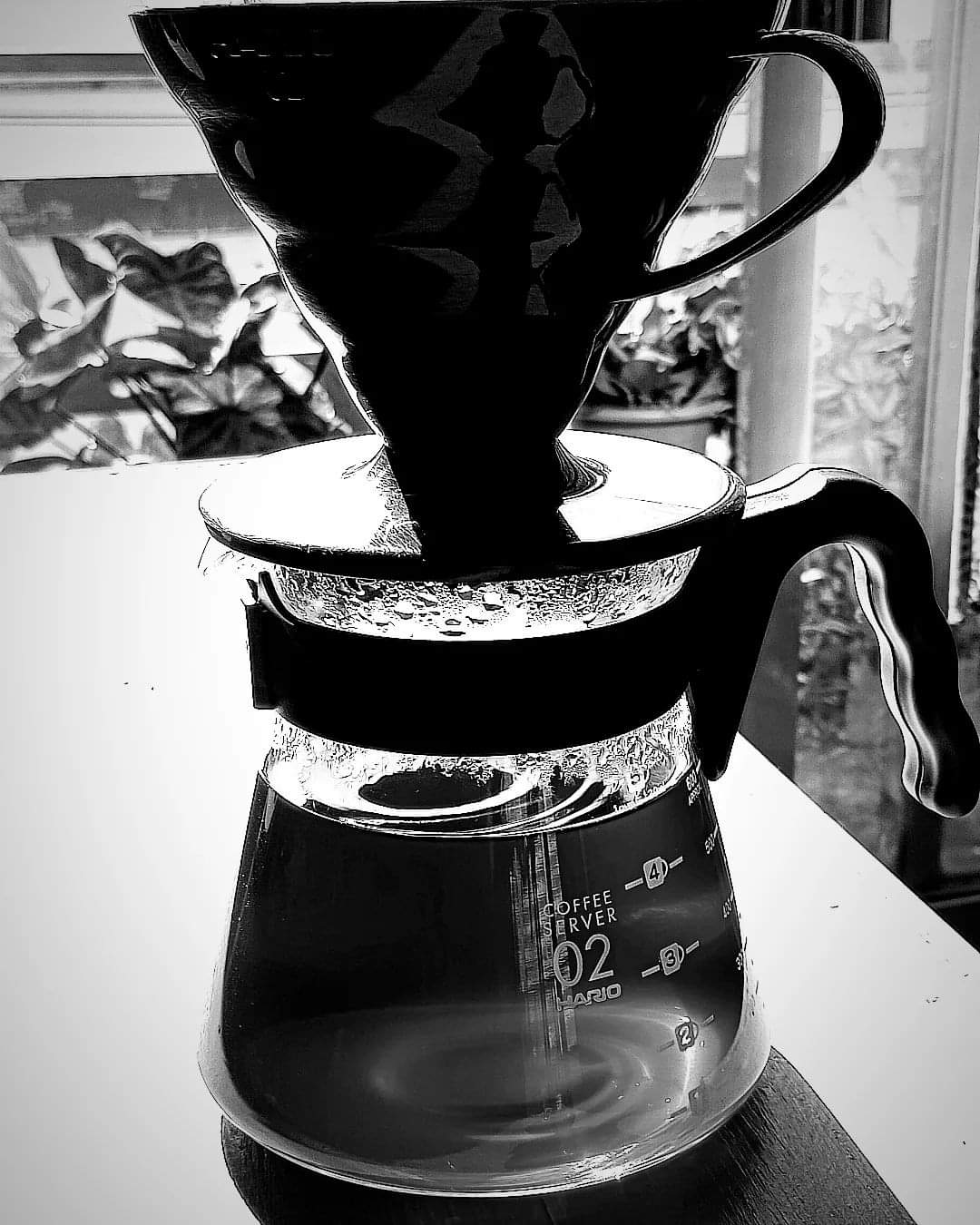 InFusion El Patio image 6