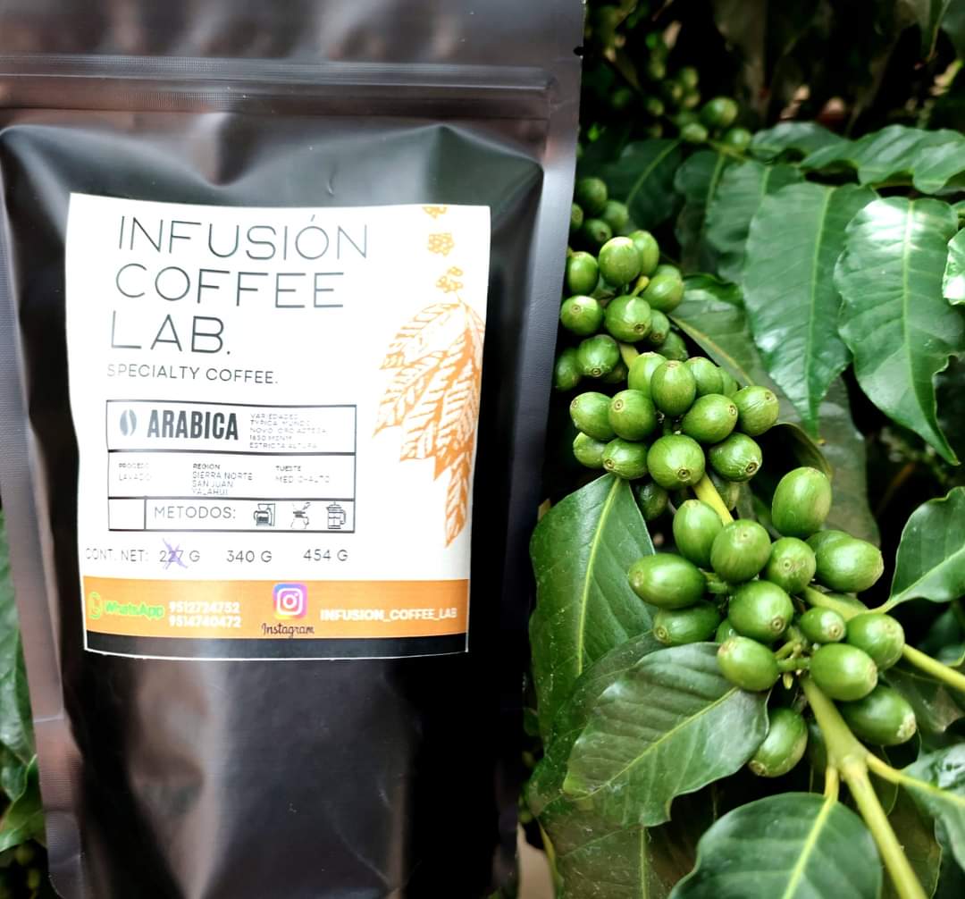 InFusion El Patio image 8