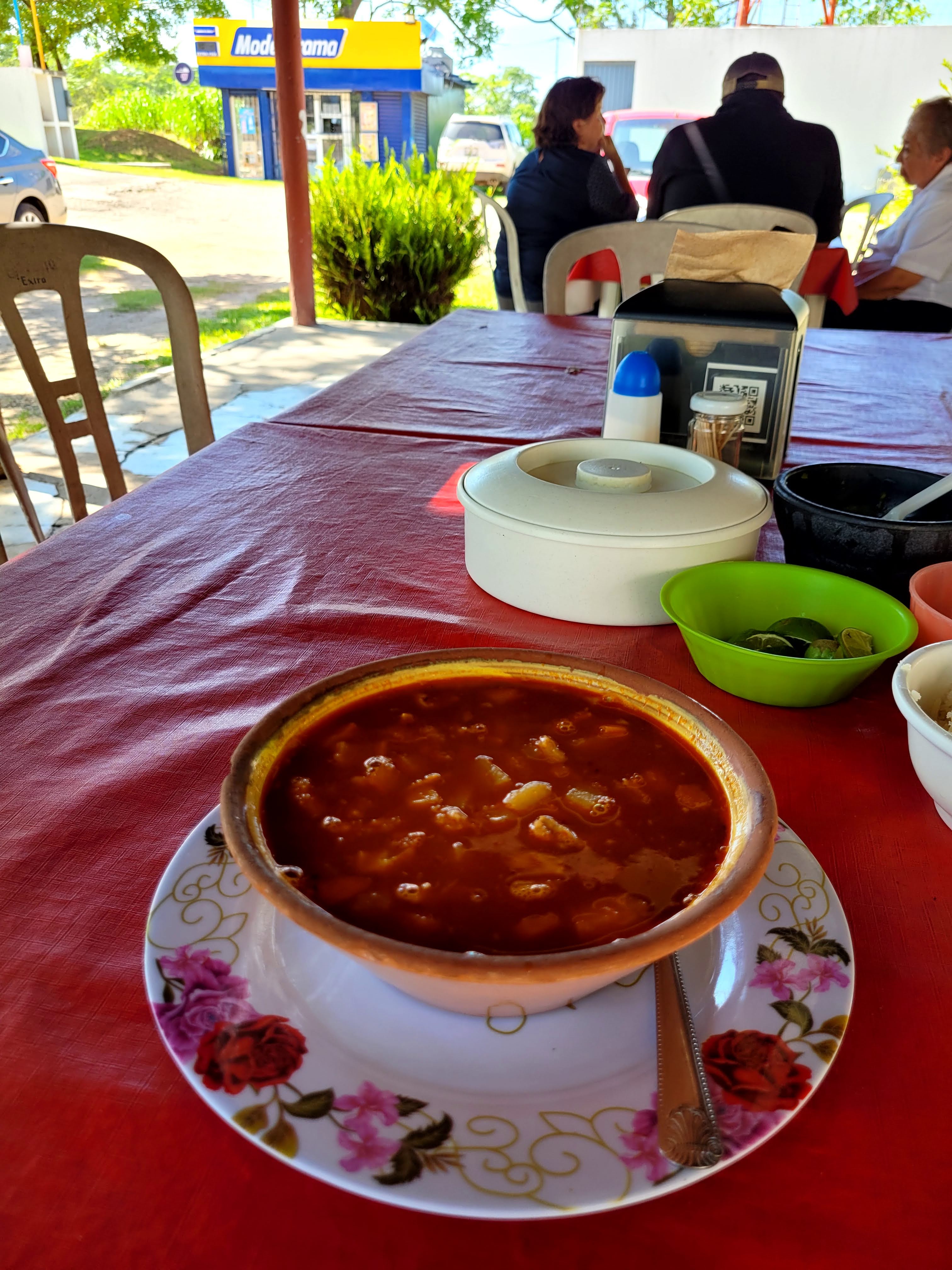 Palapa Mi Querido Viejo image 1