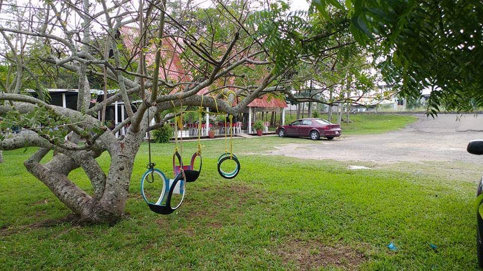 Palapa Mi Querido Viejo image 2