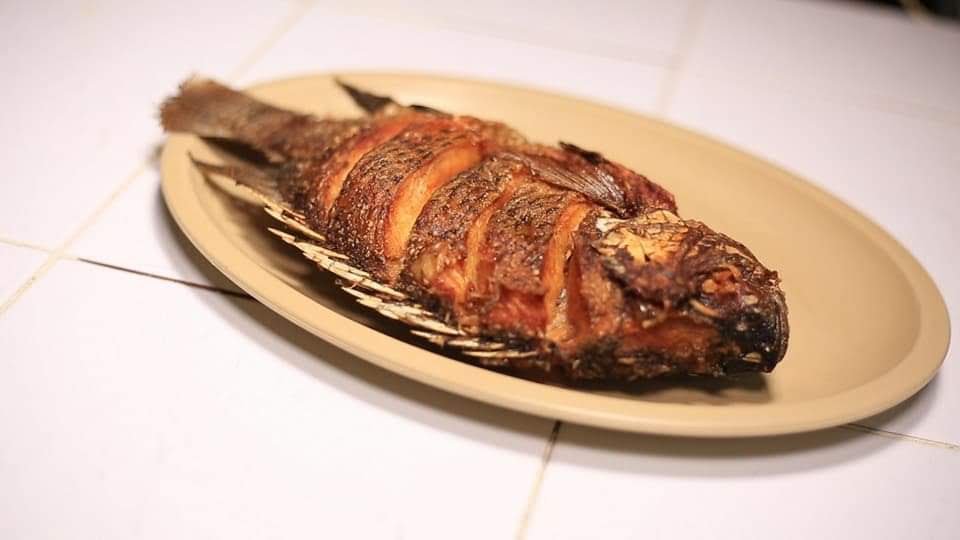 Palapa Mi Querido Viejo image 3