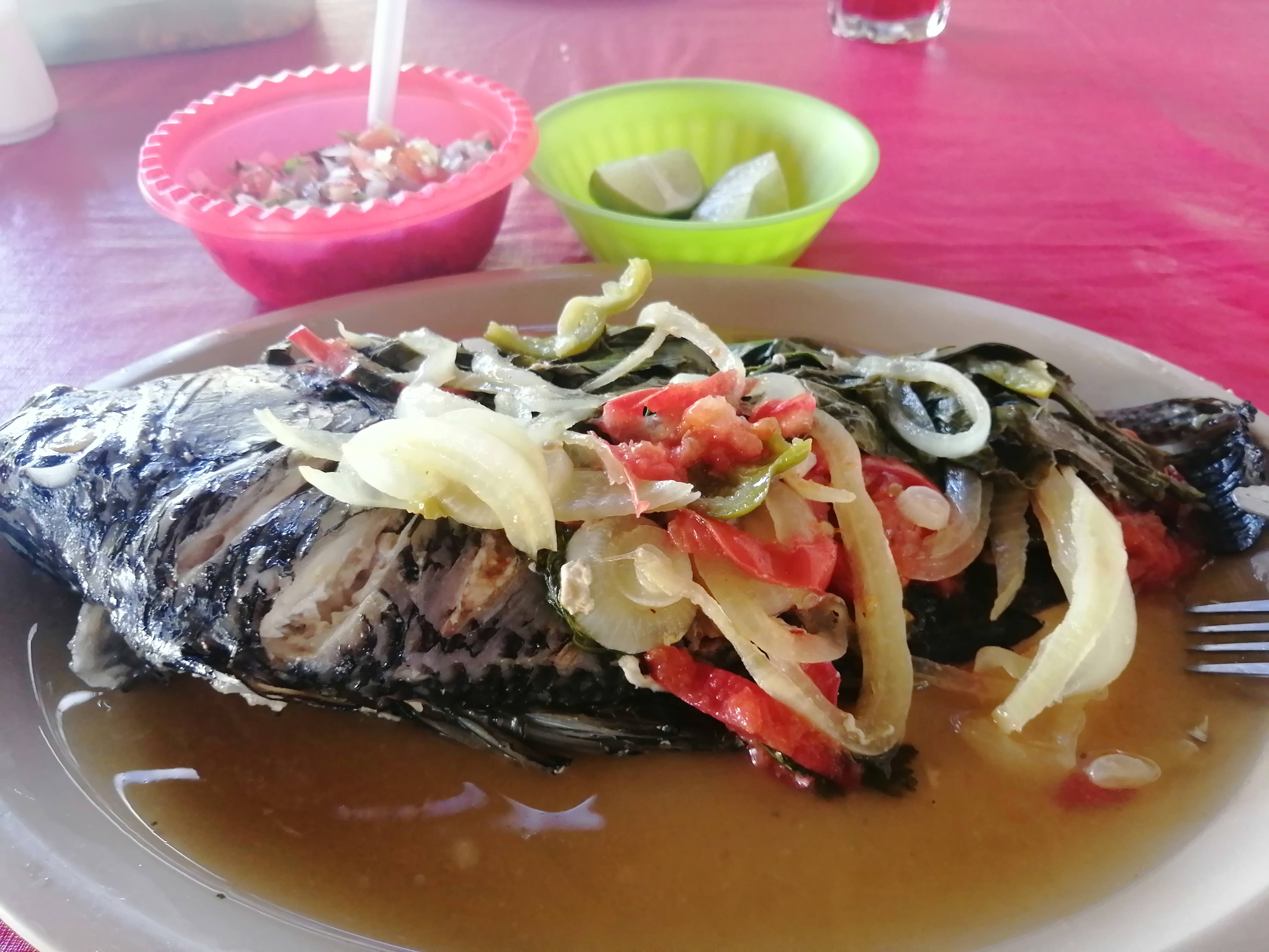 Palapa Mi Querido Viejo image 4