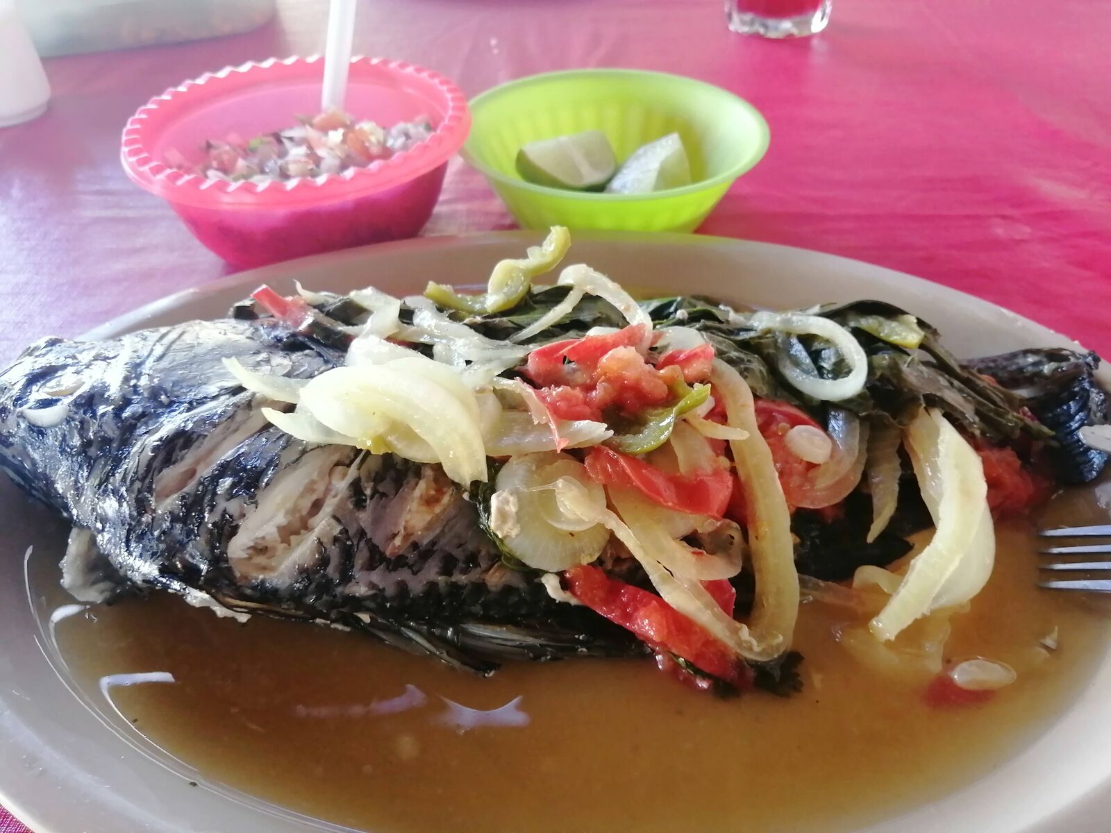 Palapa Mi Querido Viejo image 4