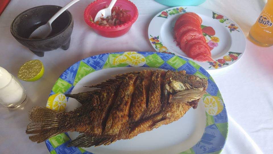 Palapa Mi Querido Viejo image 6