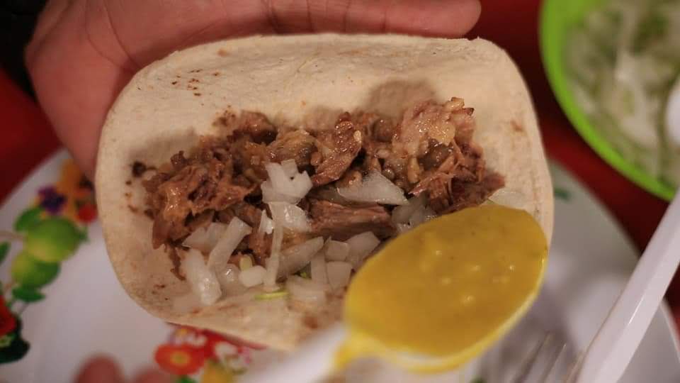 Palapa Mi Querido Viejo image 8