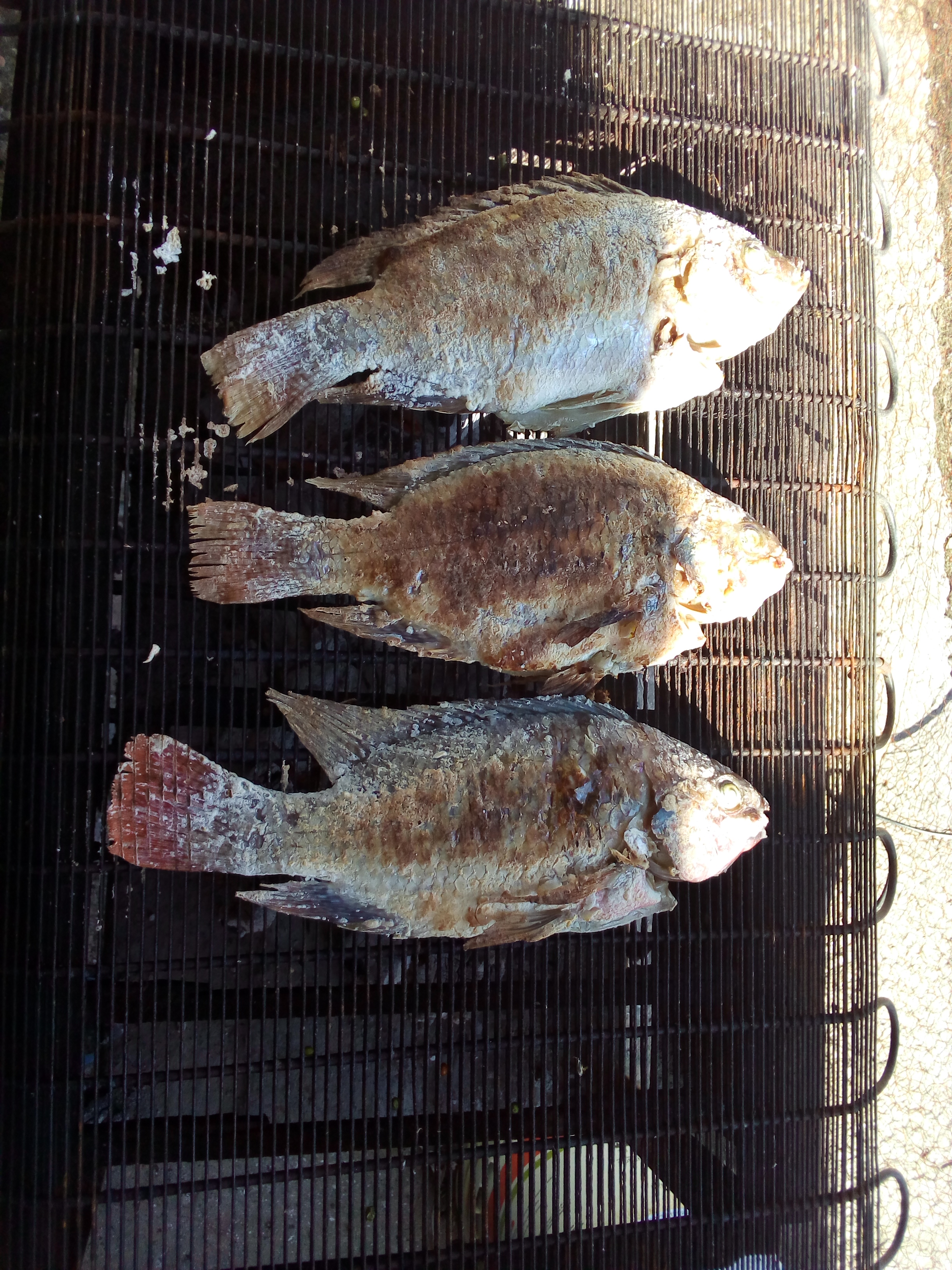 Pescaderia Junior image 2