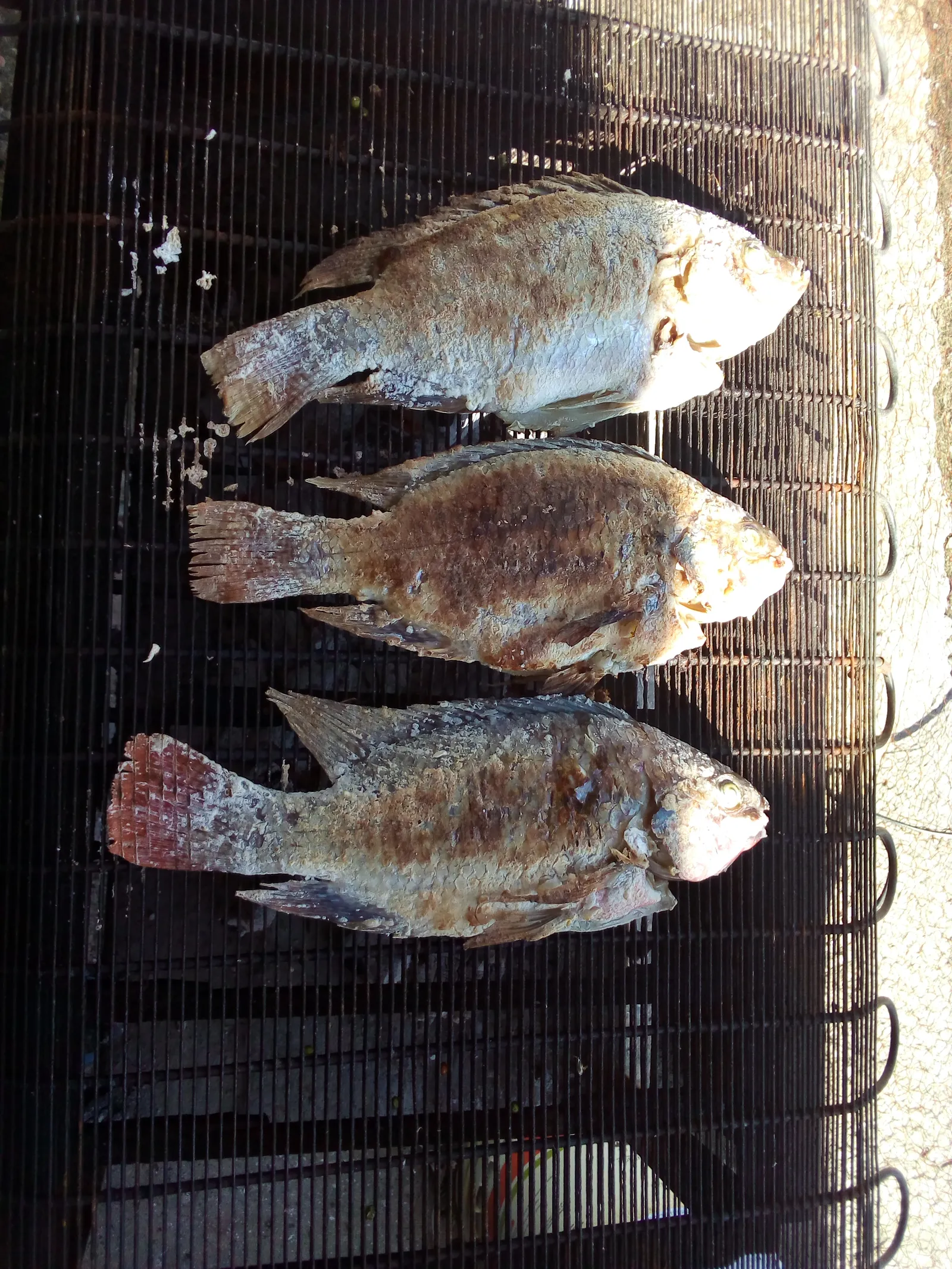 Pescaderia Junior image 2