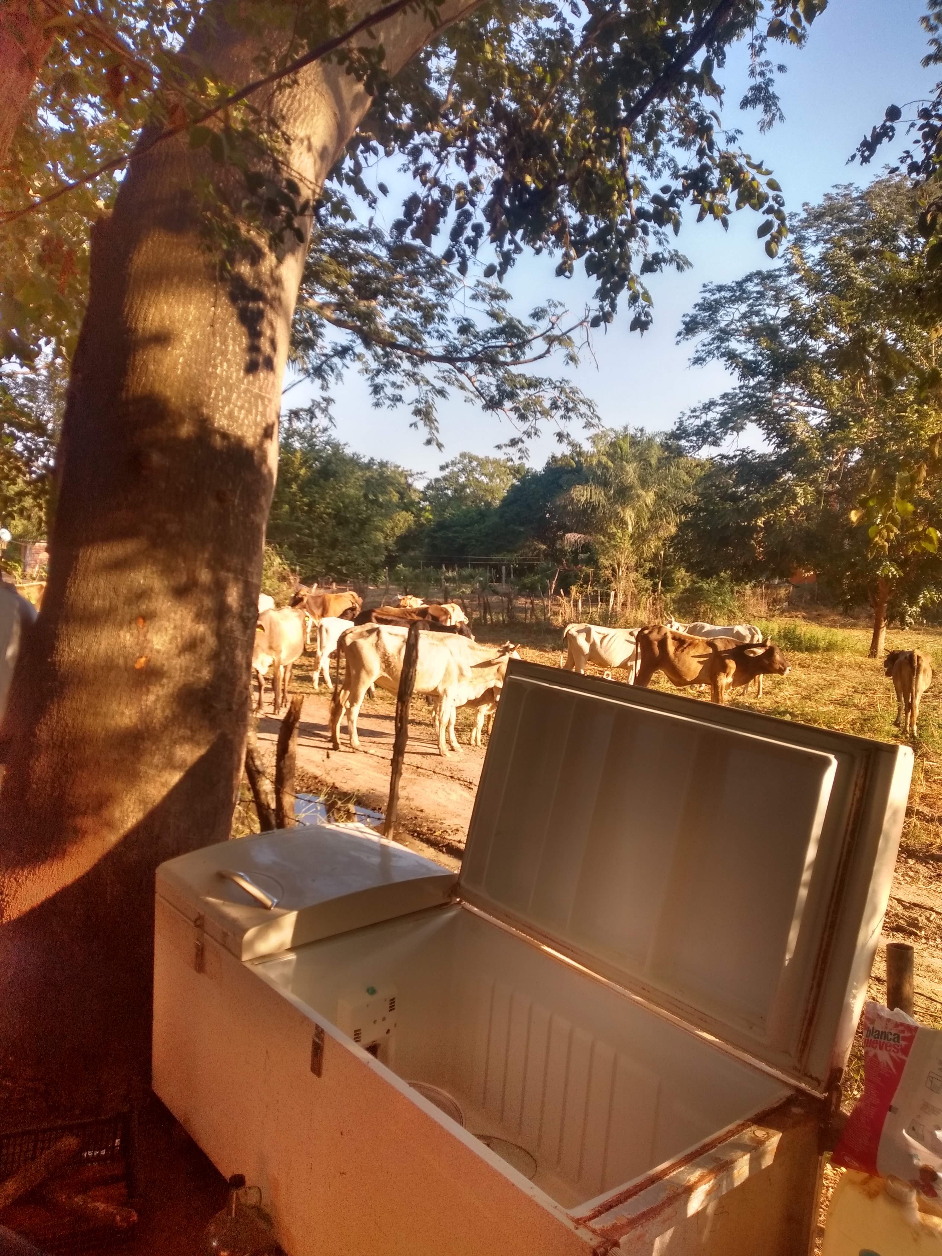 Las Figueroa image 1