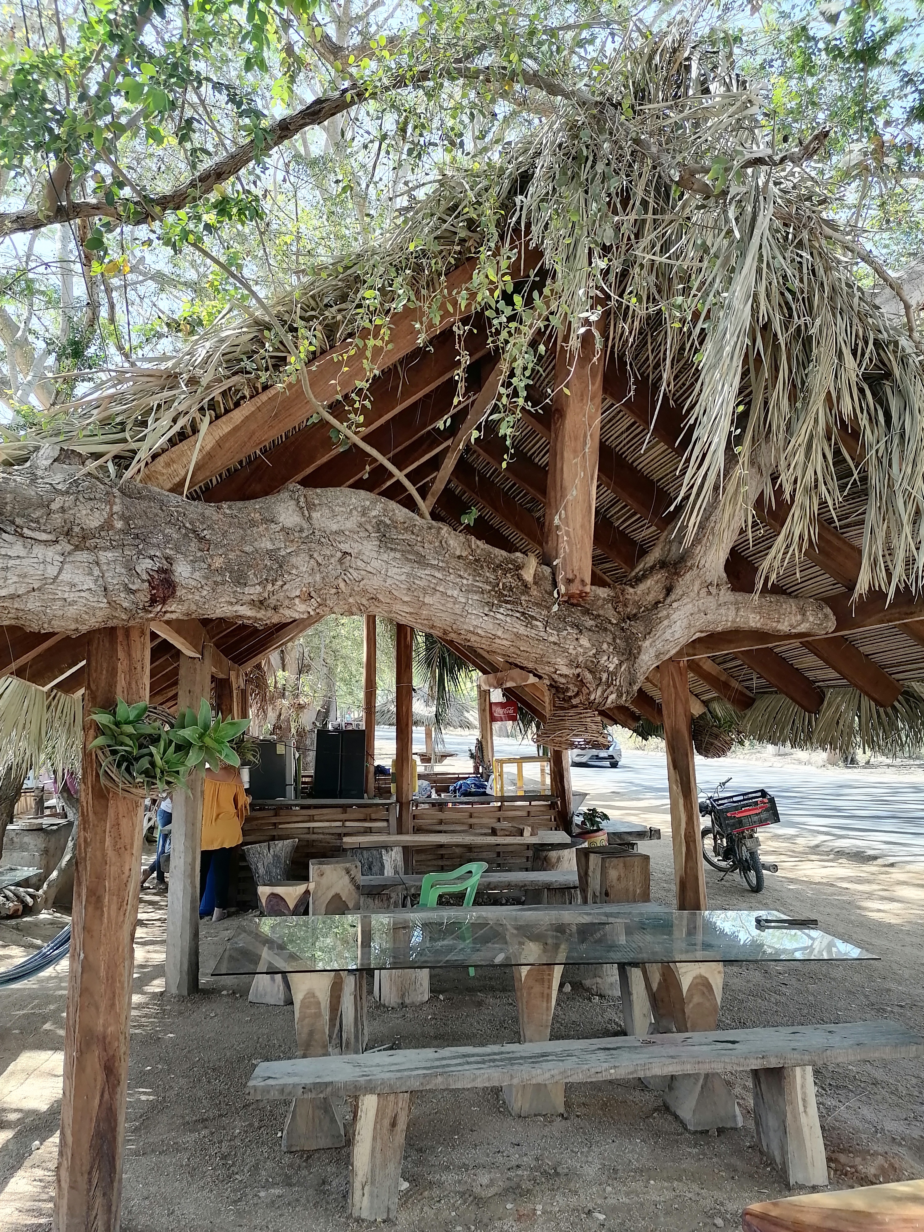 Las Figueroa image 5