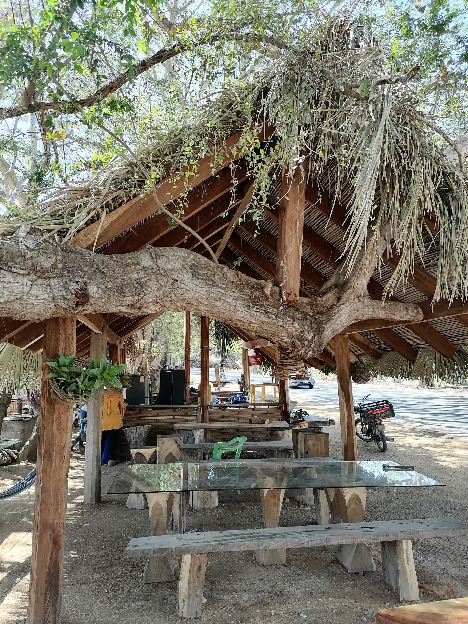Las Figueroa image 5