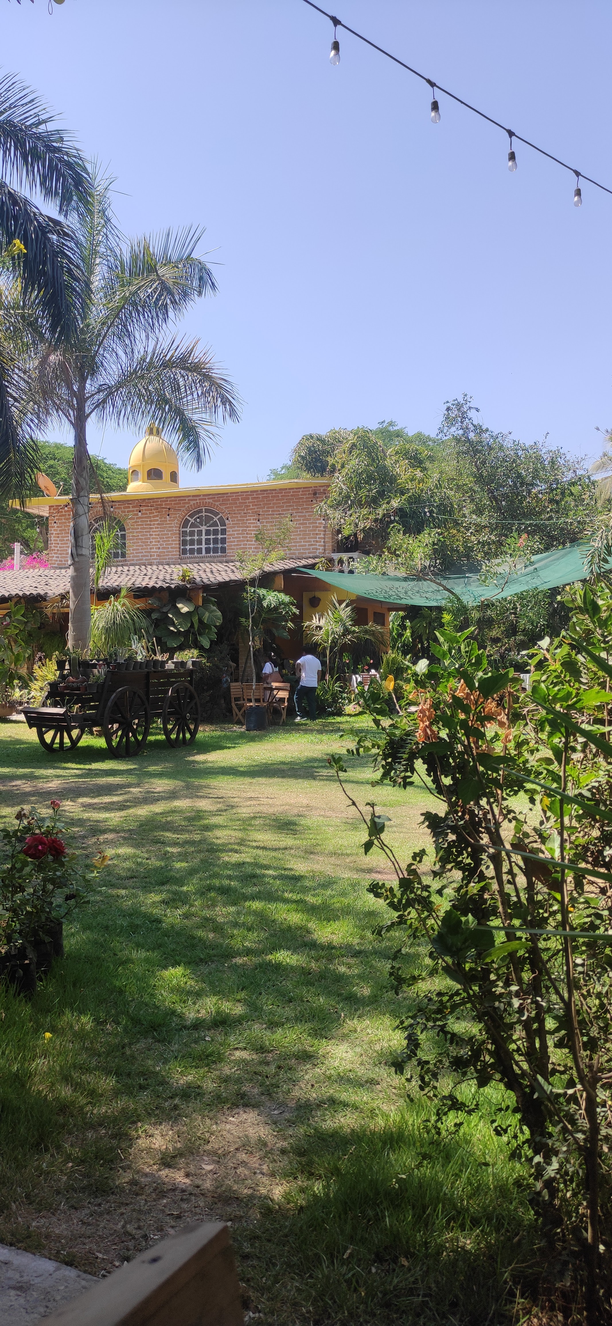 Buffet Ranchero Rancho San Isidro image 7