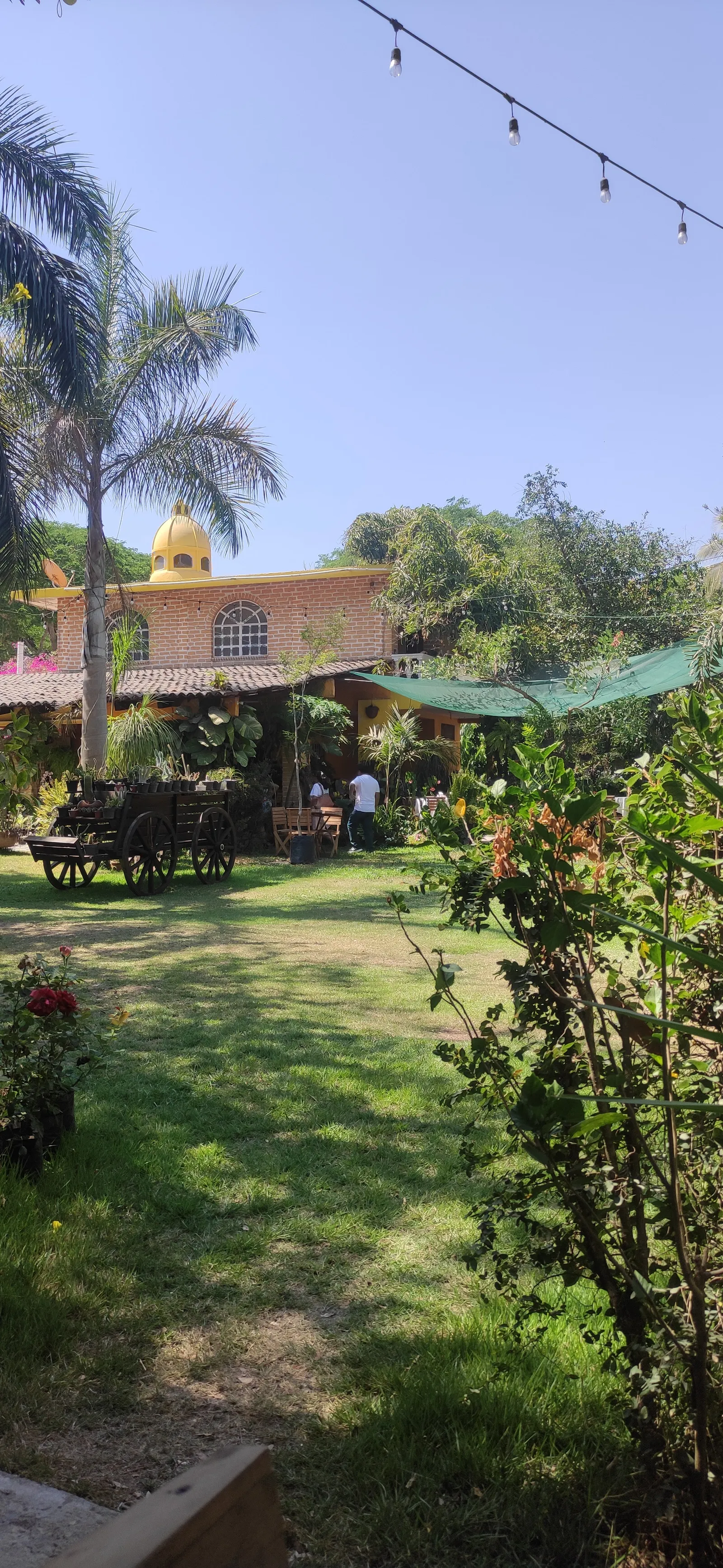 Buffet Ranchero Rancho San Isidro image 7