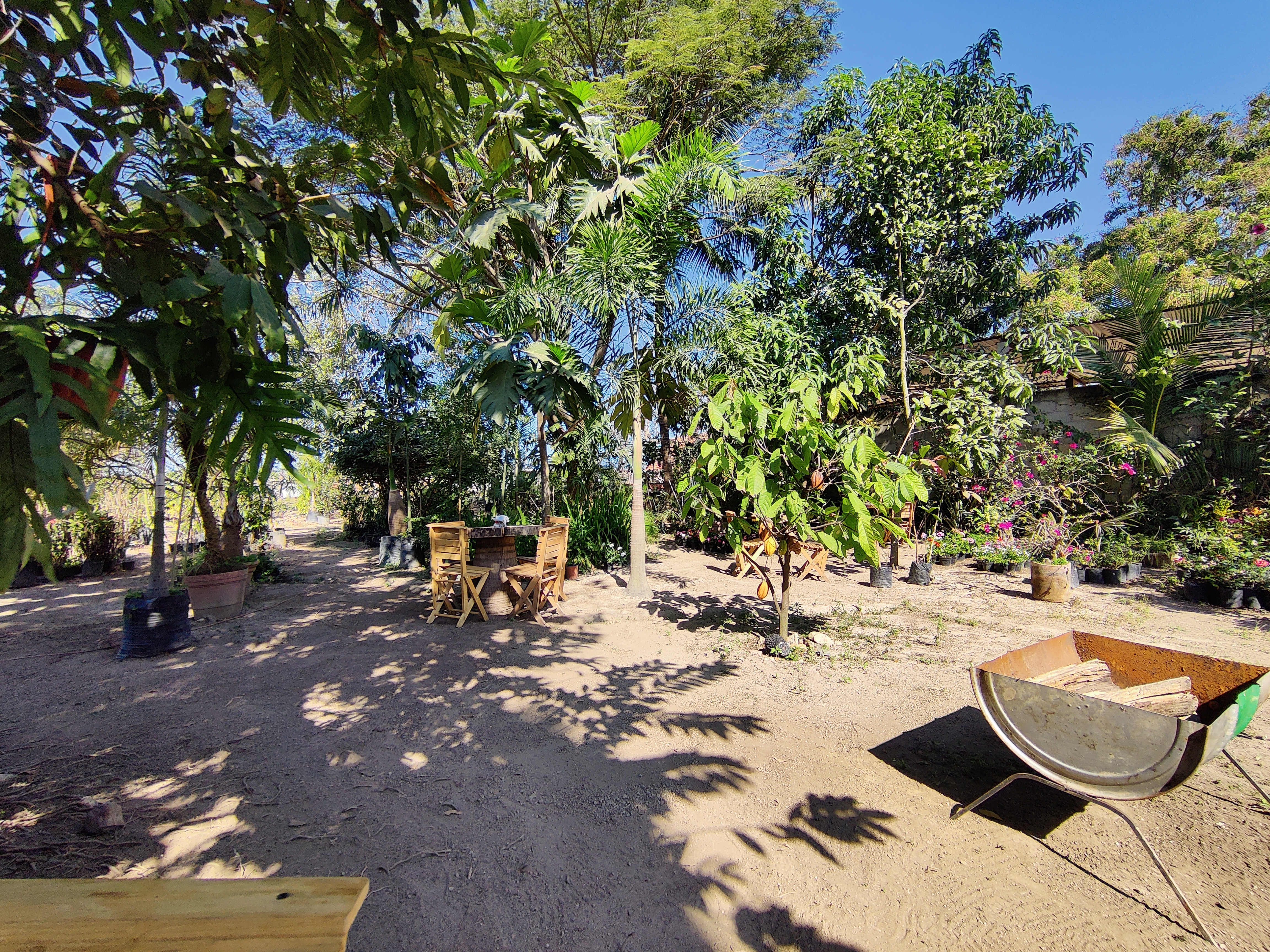 Buffet Ranchero Rancho San Isidro image 9