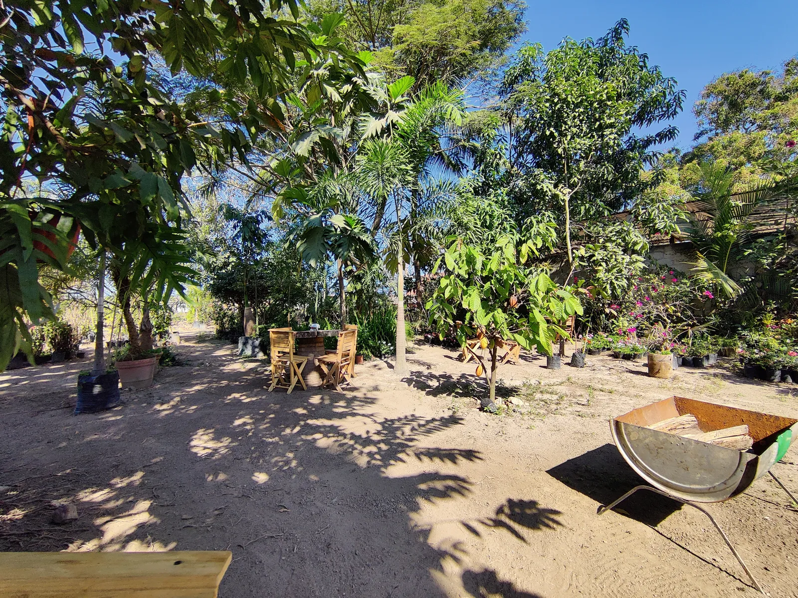 Buffet Ranchero Rancho San Isidro image 9