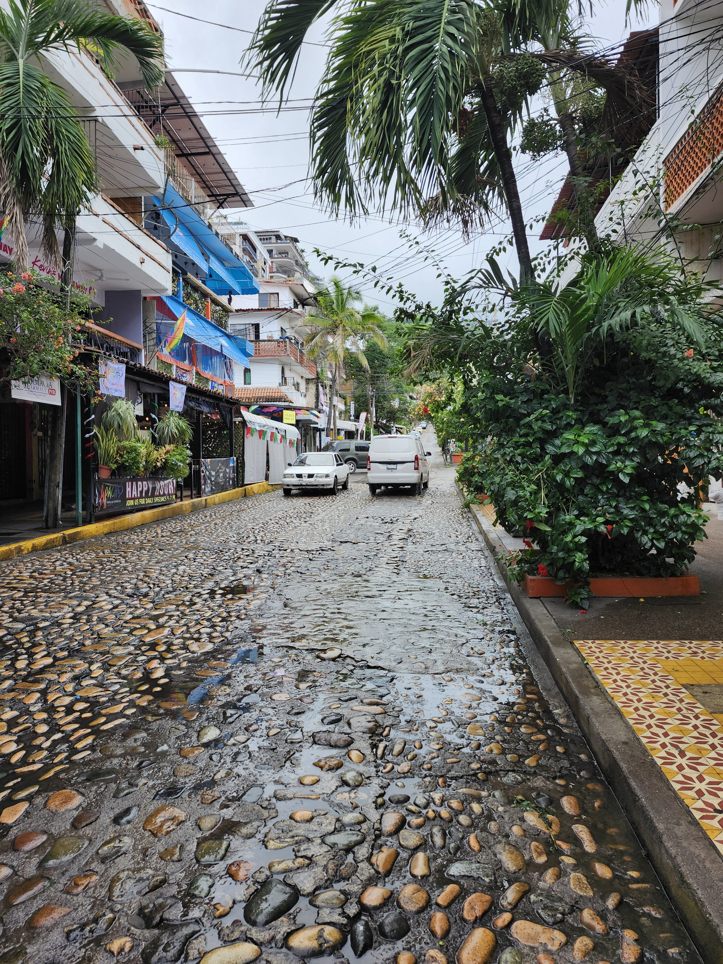 Andale's Restaurant & Bar image 5