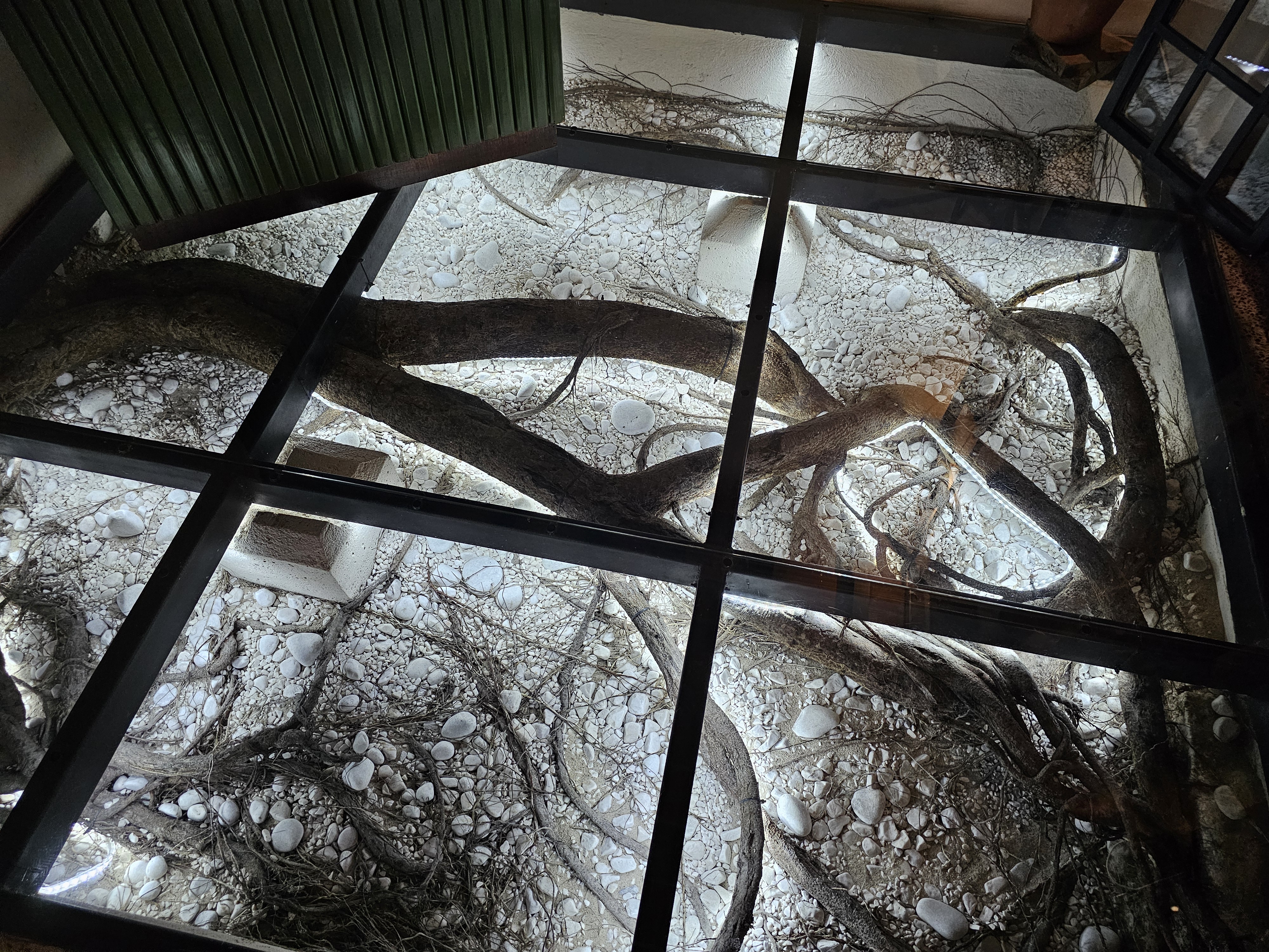 Raíces Resto Bar Puerto Vallarta image 8