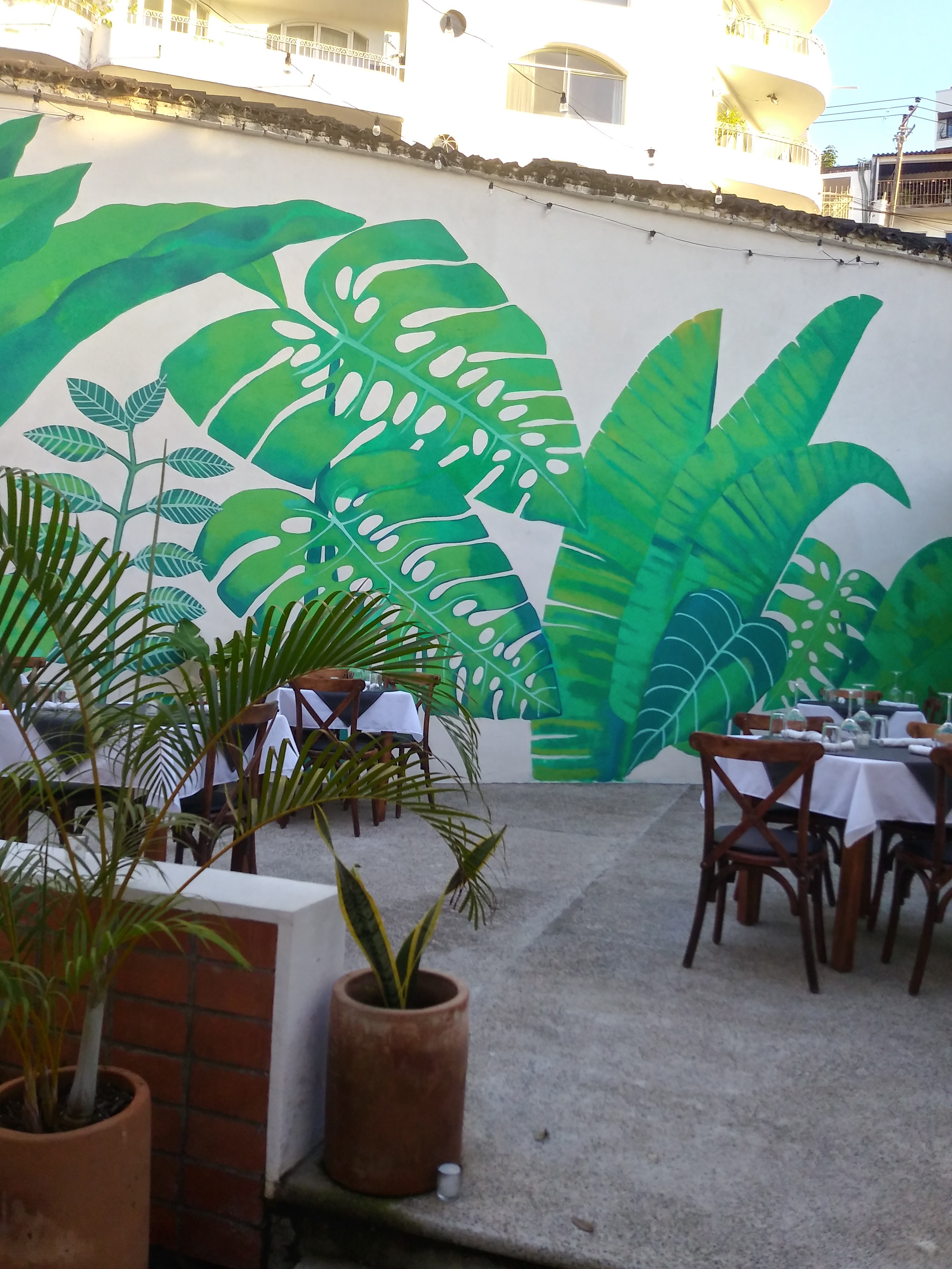 Raíces Resto Bar Puerto Vallarta image 10