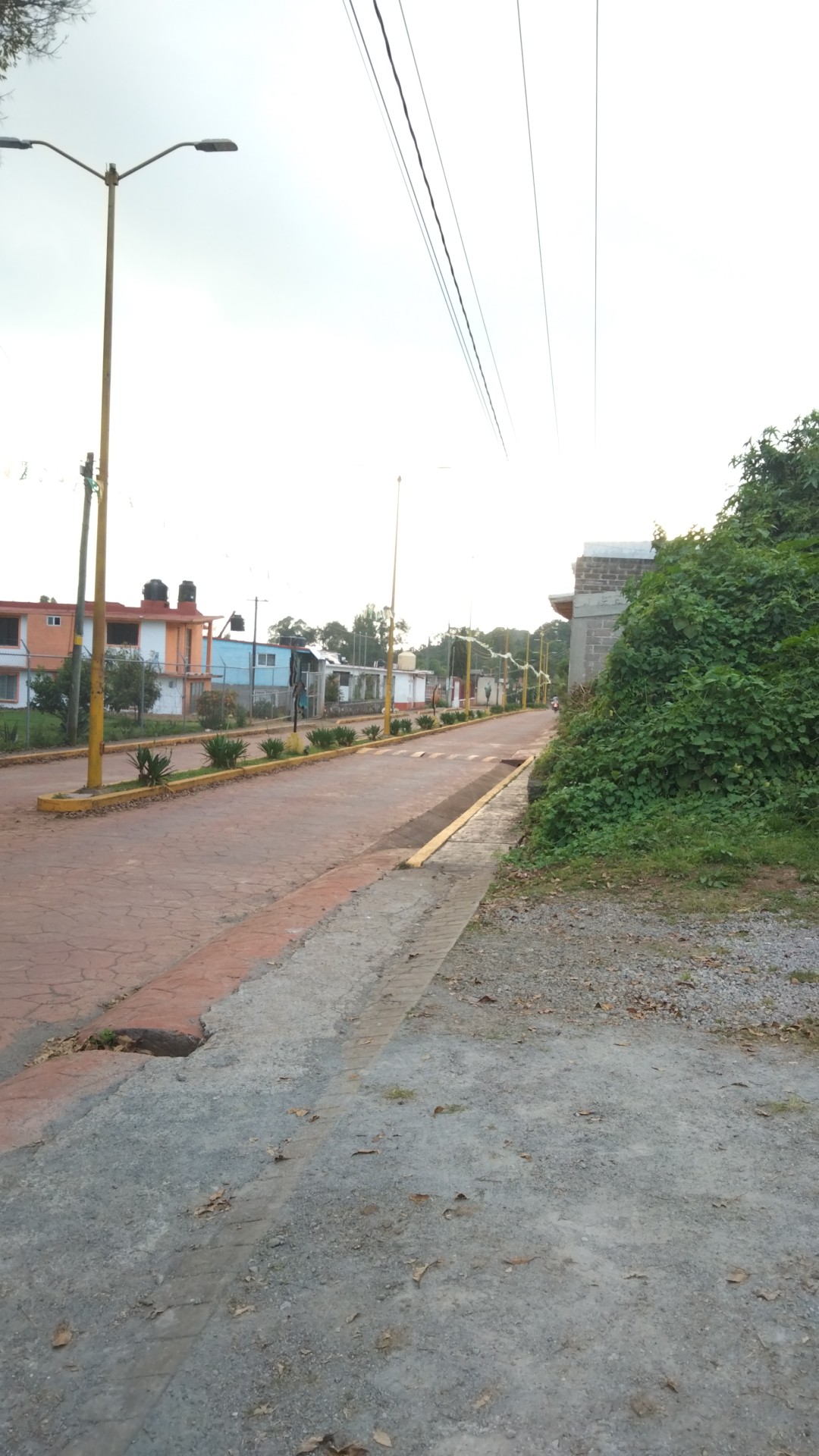 Comidas y Antojitos KIYAGA image 6