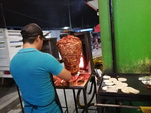 Taqueria Tacosaurio image 2