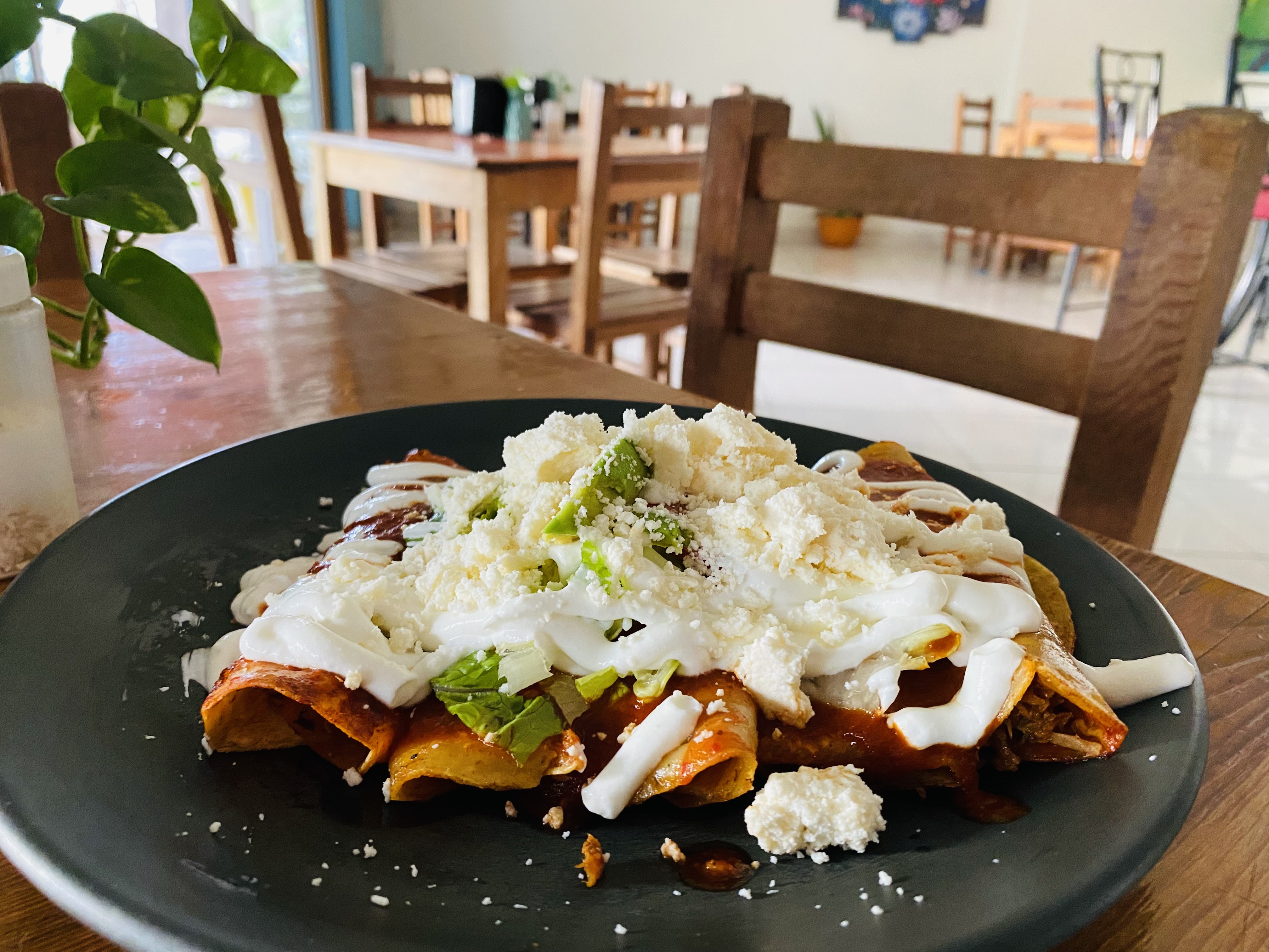 Yolita’s DEM Coffee image 2