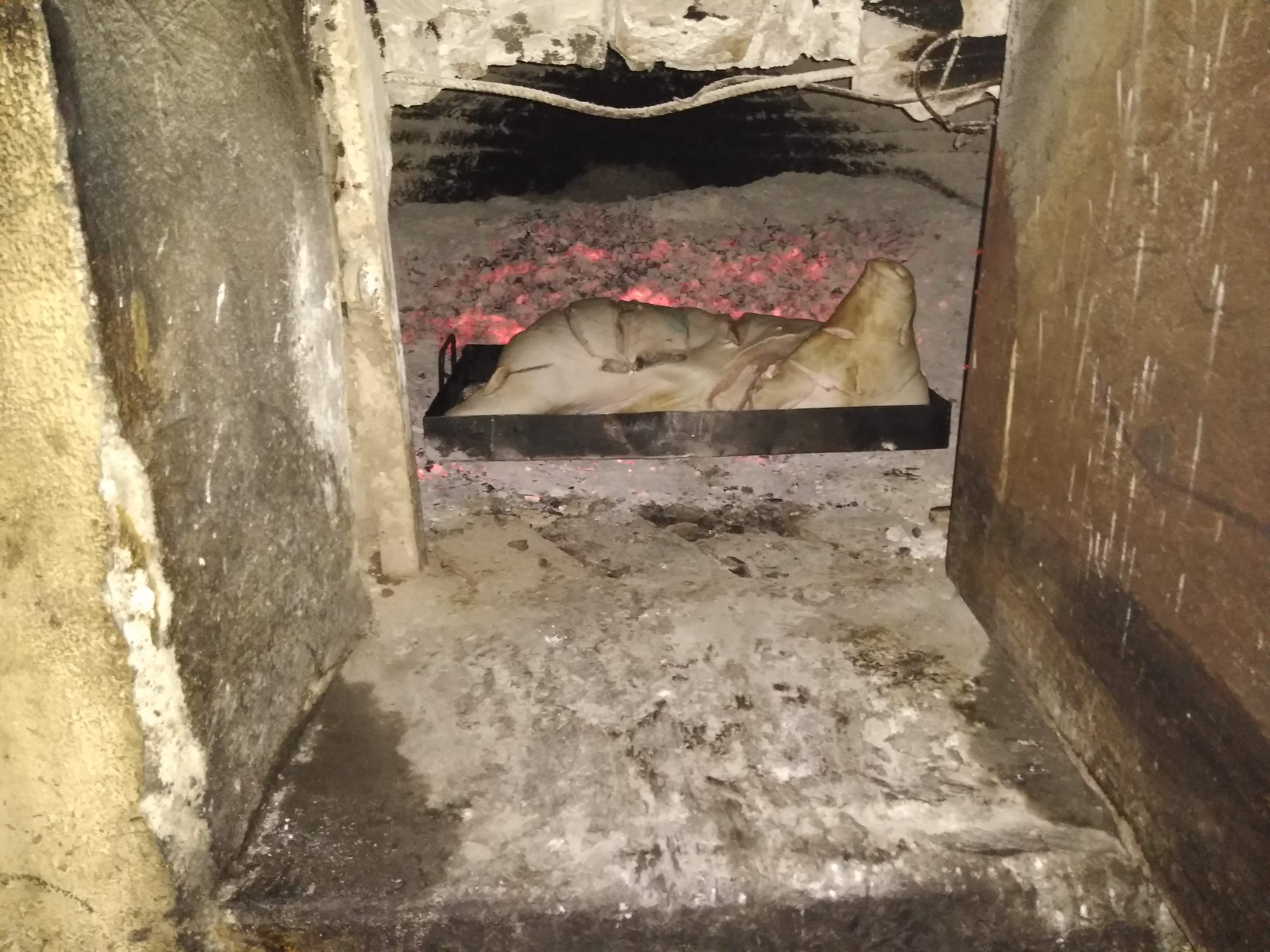 Tacos Chepe Puerco al Horno estilo Acaponeta image 10