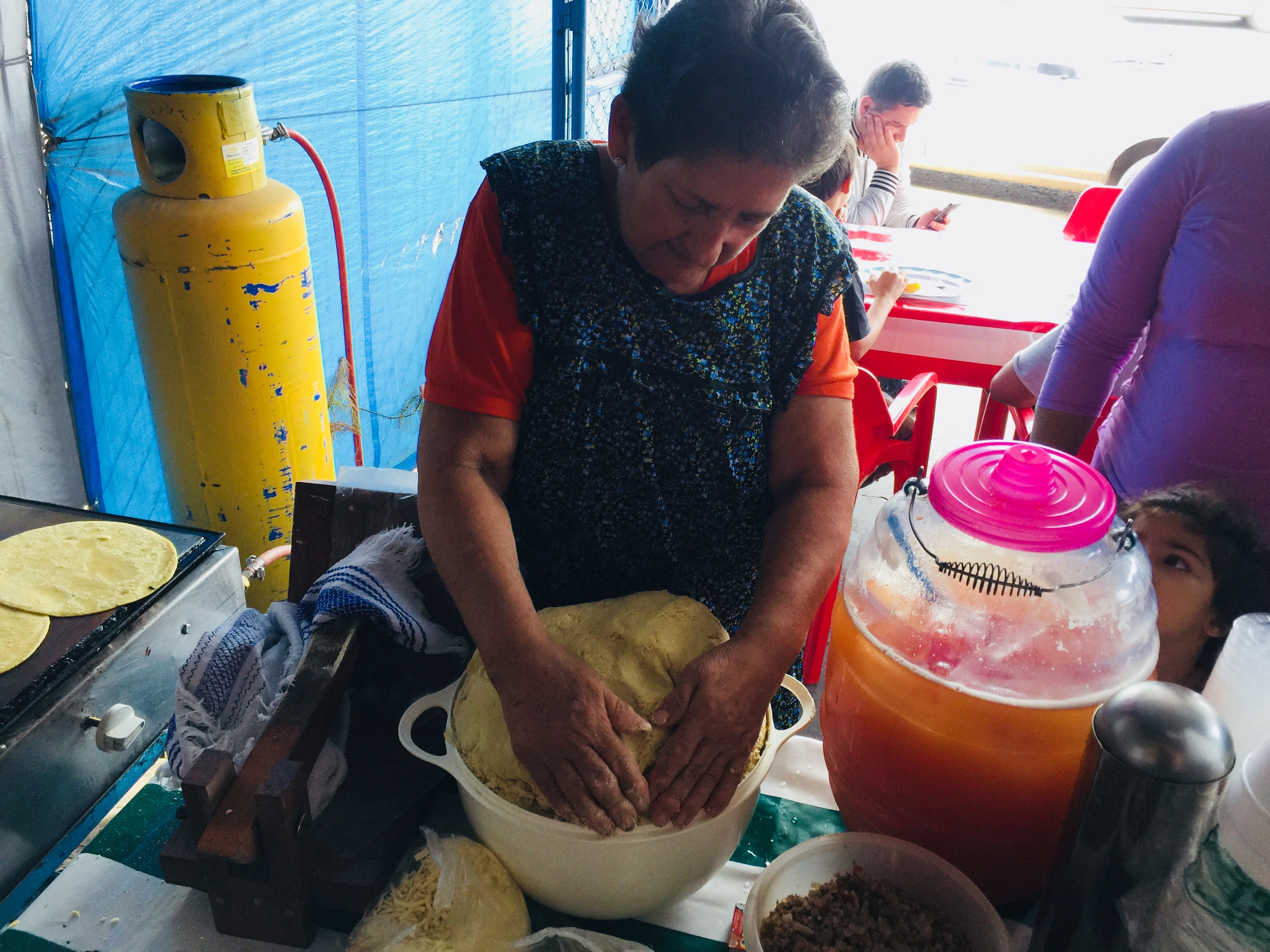 QUESADILLAS ESTILO MEXICO doña luisa image 5
